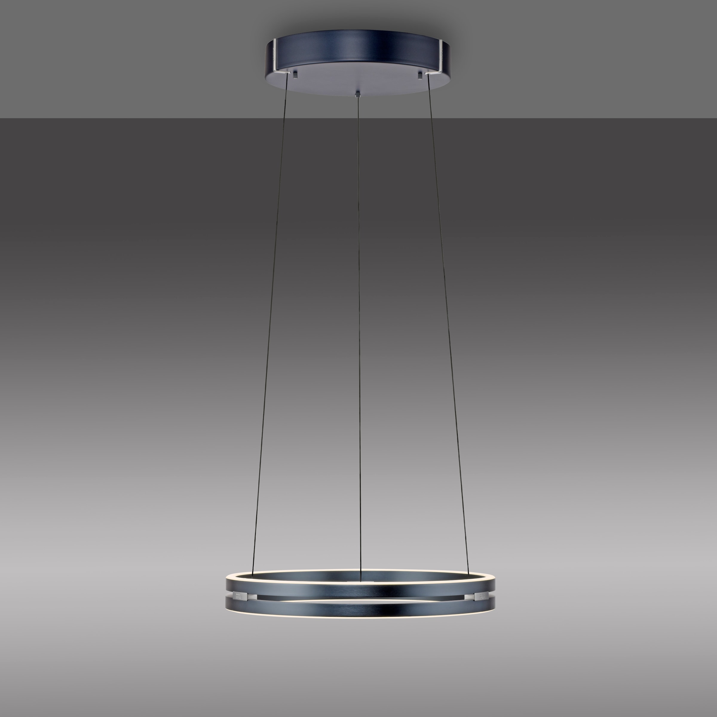 Neuhaus PURE LED Pendelleuchte »PURE E-Loop« LED-Board 1 Stk. warmweiß - kaltweiß e-LIFT® Funktion, CCT, dimmbar über Fernbedienung