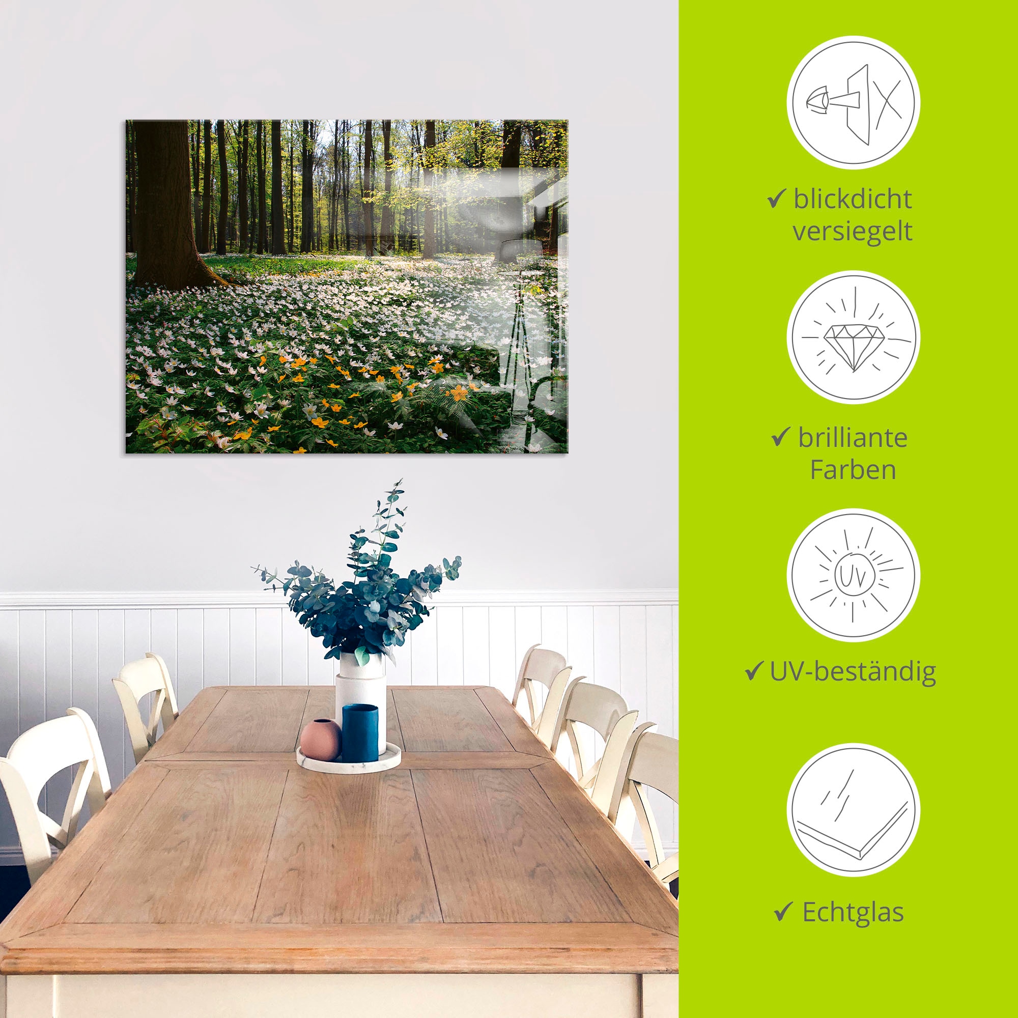 Artland Glasbild »Frühlingswald bedeckt mit Windröschen«, Wald, (1 St.), in verschiedenen Größen