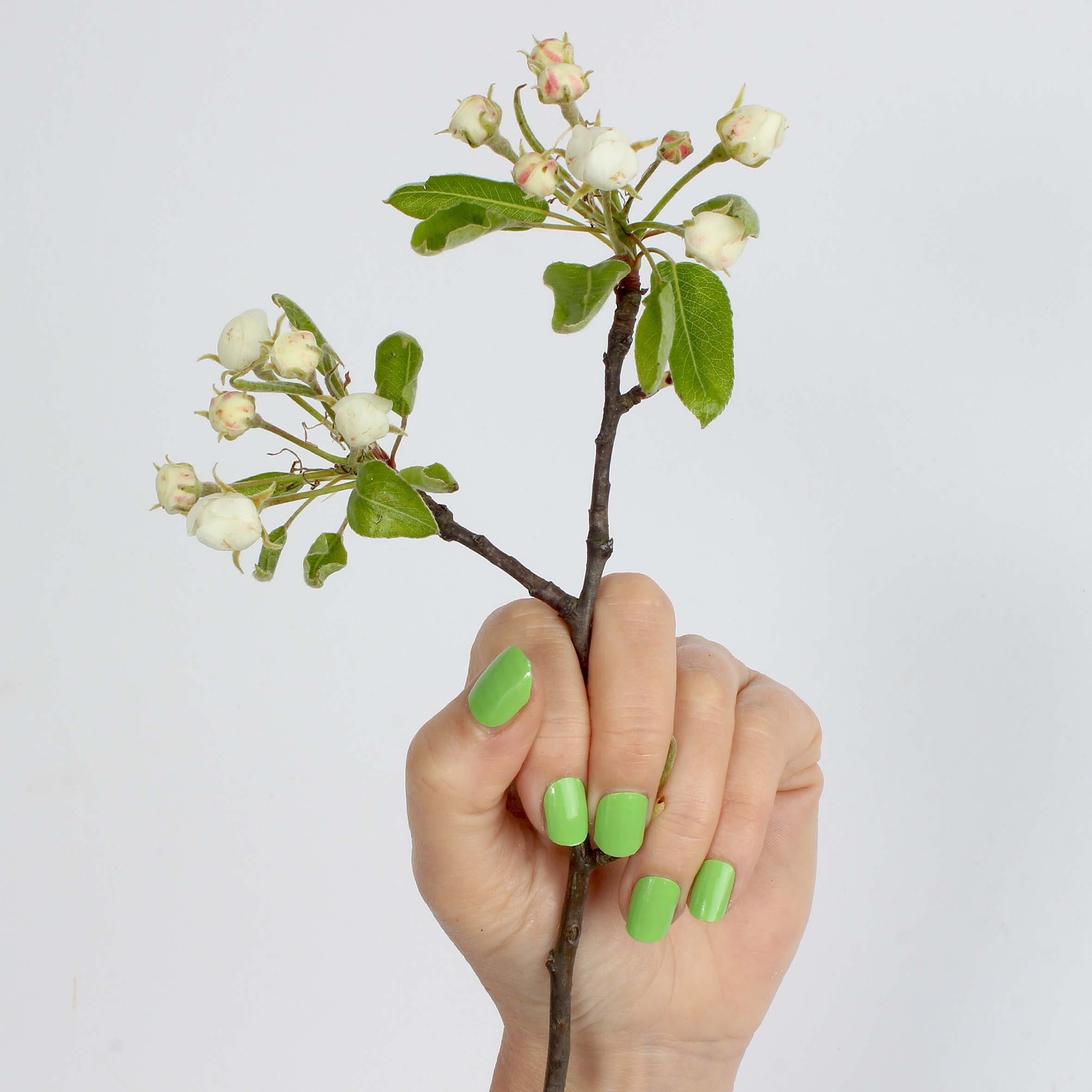 Vargu Nageldesign Zubehör »solid green«, aus zertifizierter Produktion (SGS / SEDEX) und Material (FSC)