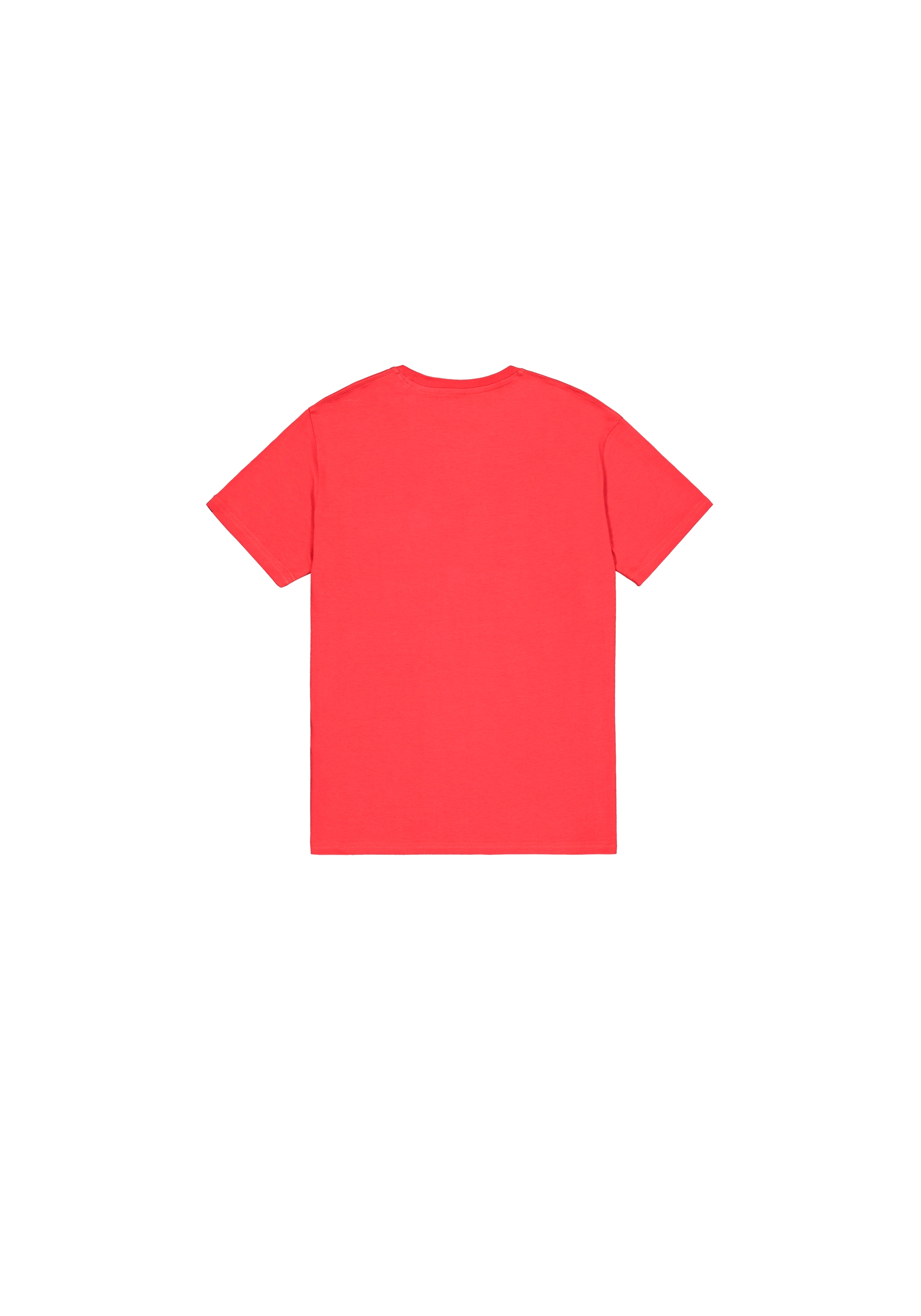 Alpha Industries T-Shirt »Basic T-Shirt BL Rainbow Ref.«