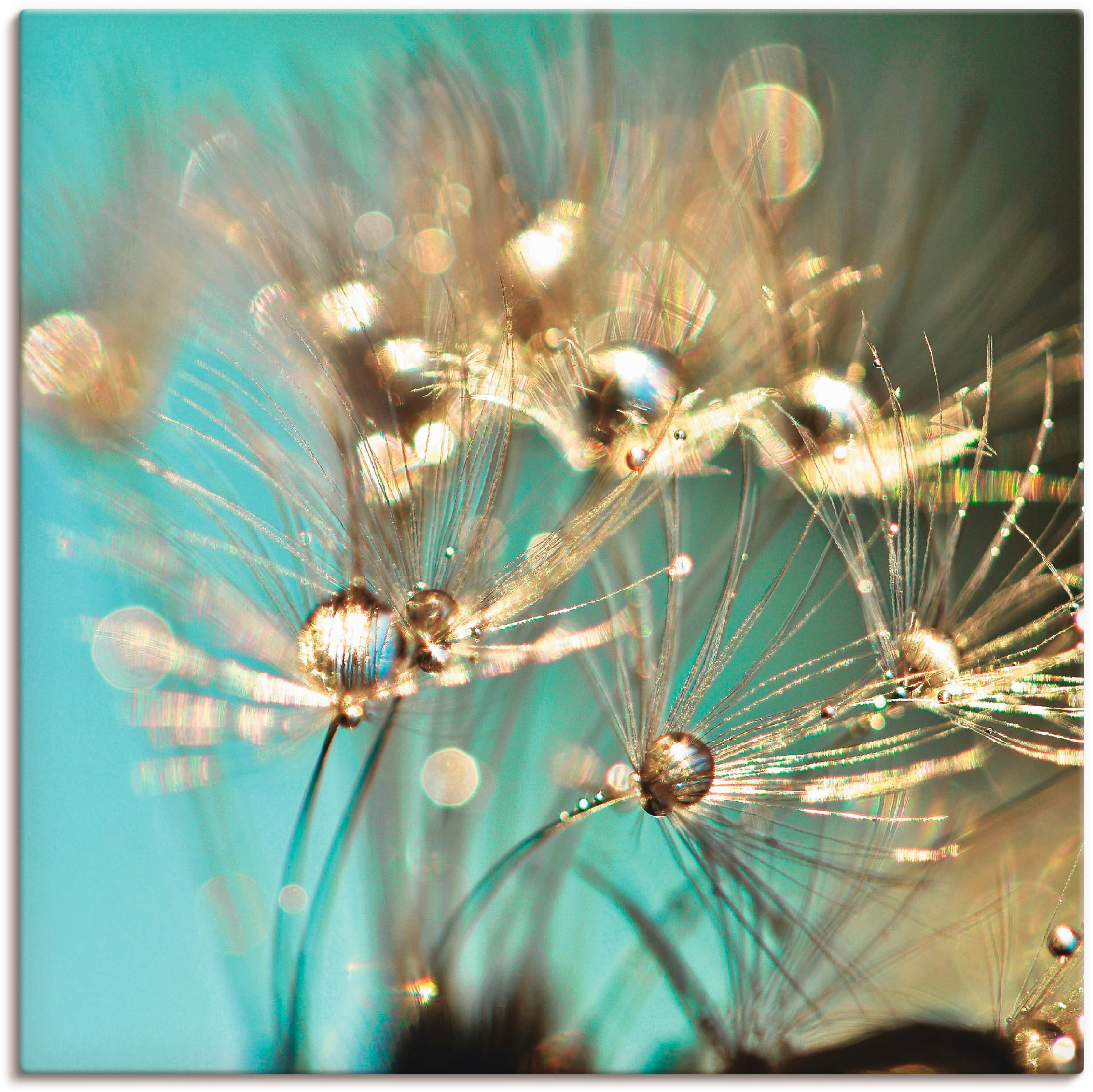 Artland Wandbild »Pusteblume glänzendes Gold«, Blumen, (1 St.), als Alubild, Outdoorbild, Leinwandbild, Poster, Wandaufkleber