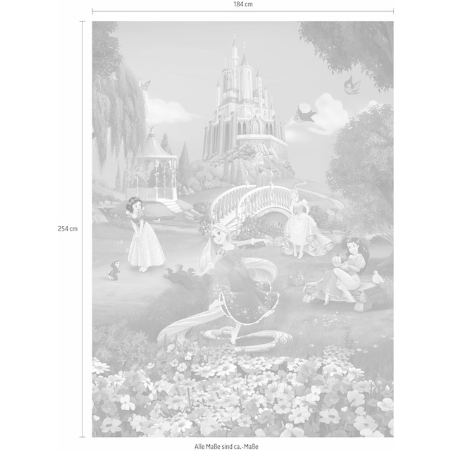 Komar Fototapete »Princess Sunset«, 184x254 cm (Breite x Höhe), inklusive  Kleister per Rechnung | BAUR