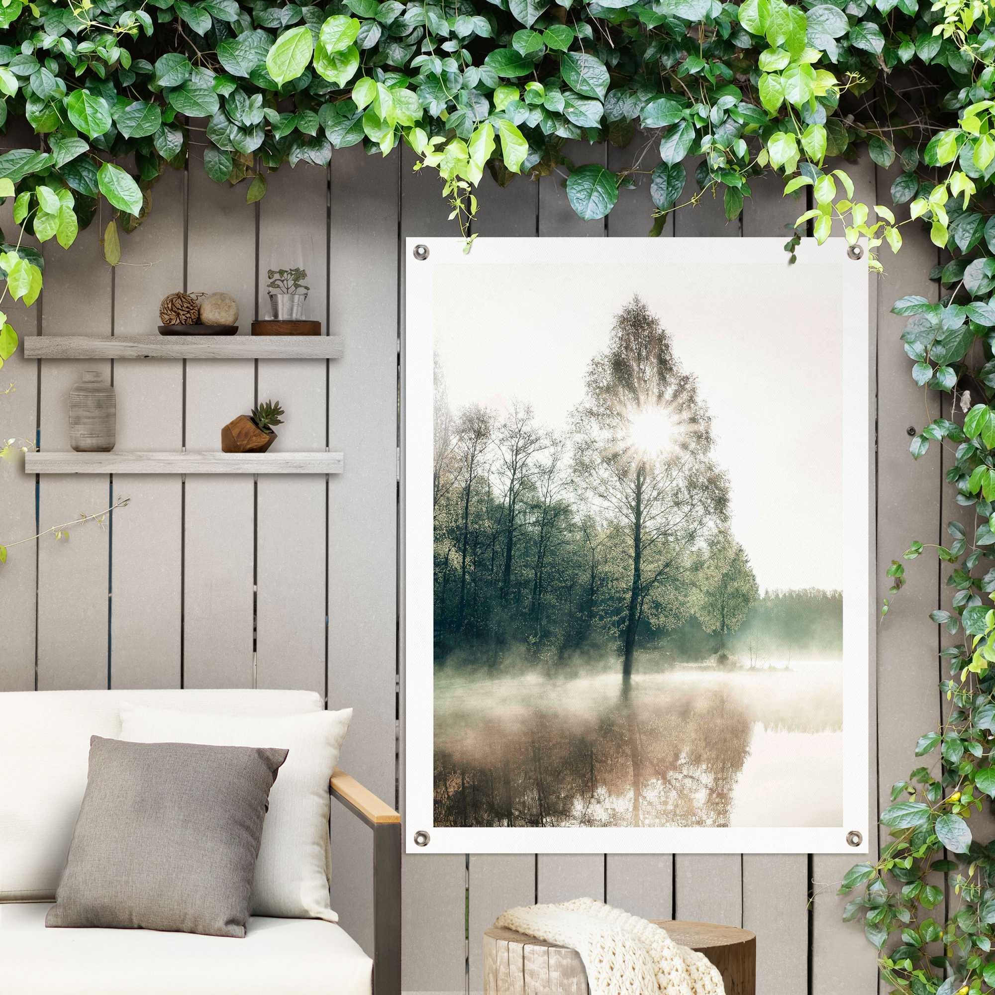 Reinders Poster "Sonne durch die Bäume", Outdoor für Garten oder Balkon günstig online kaufen