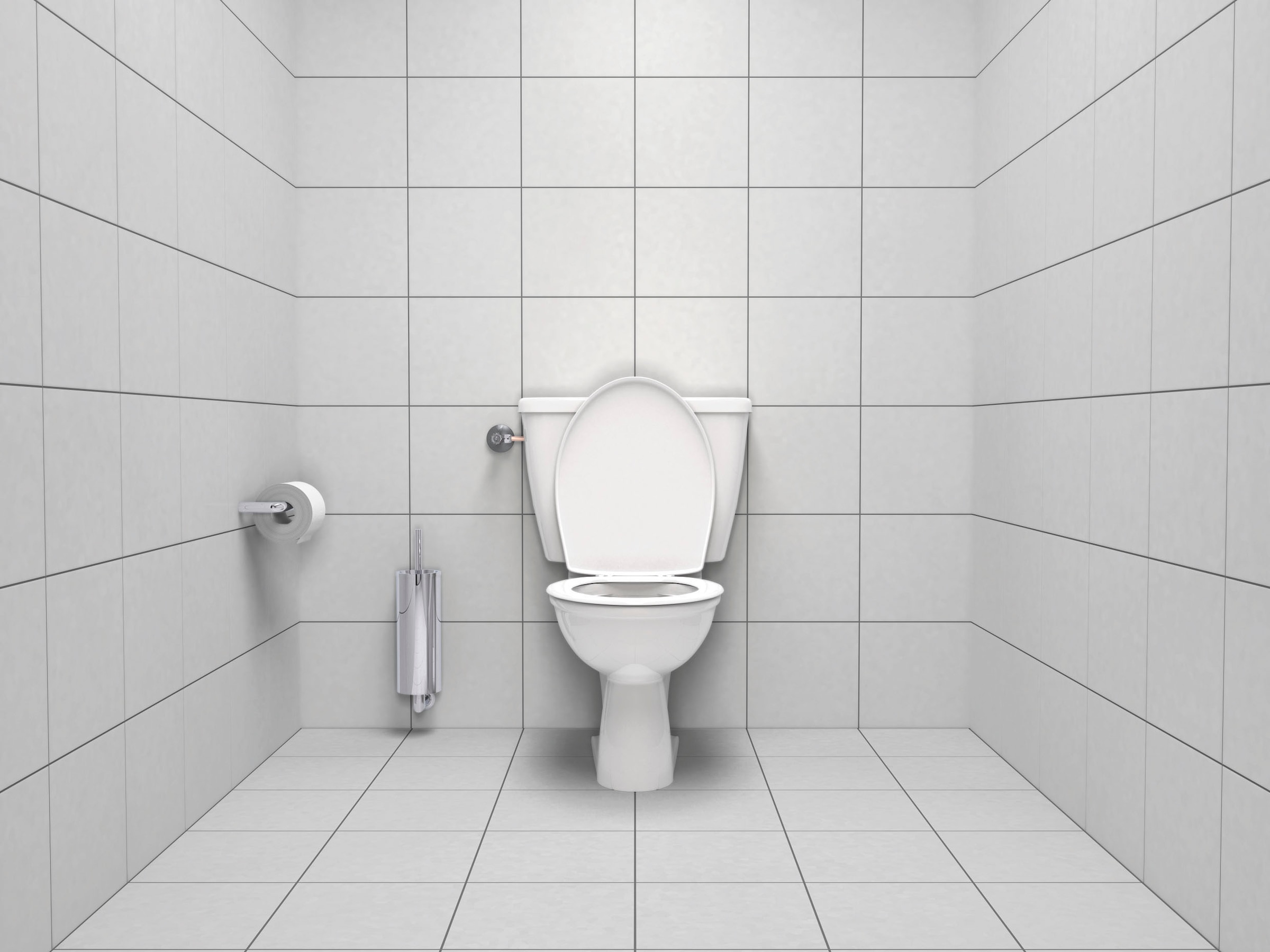 Grohe Toilettenpapierhalter »Essentials«, langlebige Chromoberfläche