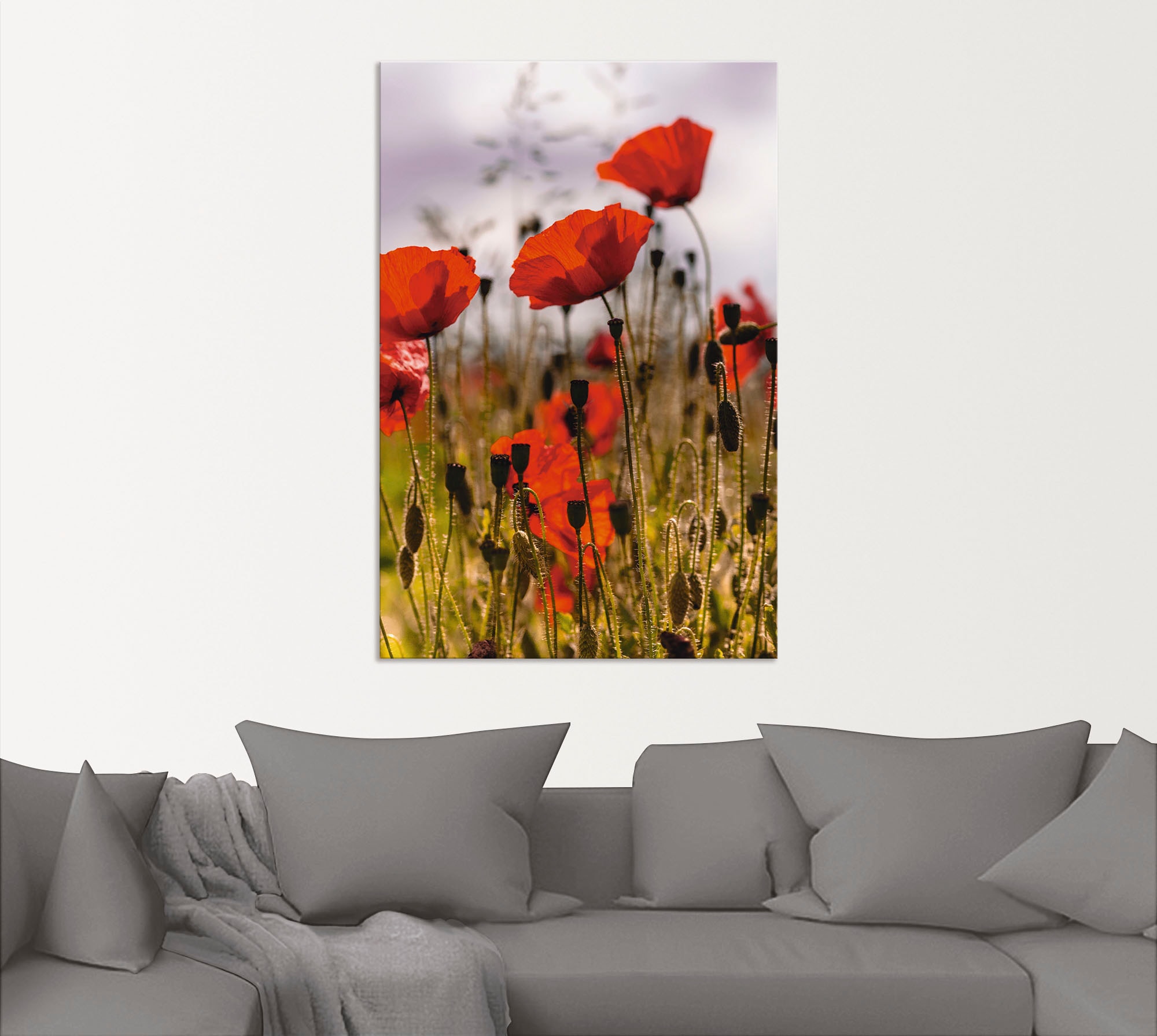 Artland Wandbild "Mohnblumen im Morgenlicht", Blumenwiese, (1 St.), als Alu günstig online kaufen