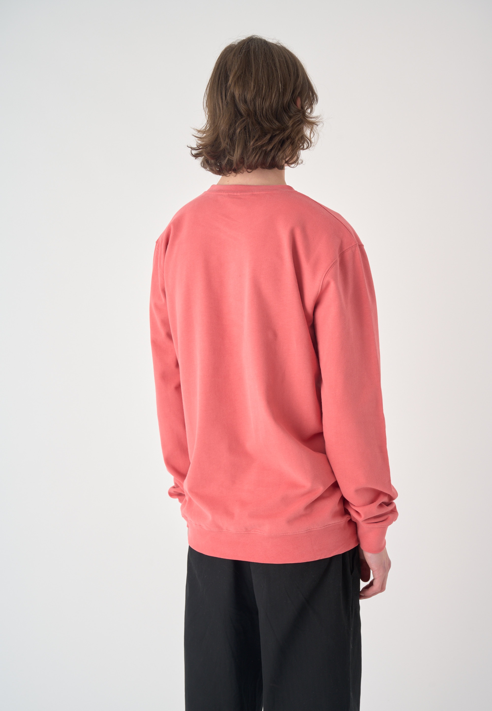 Cleptomanicx Sweatshirt »Ligull«, mit kleiner Möwen-Stickerei