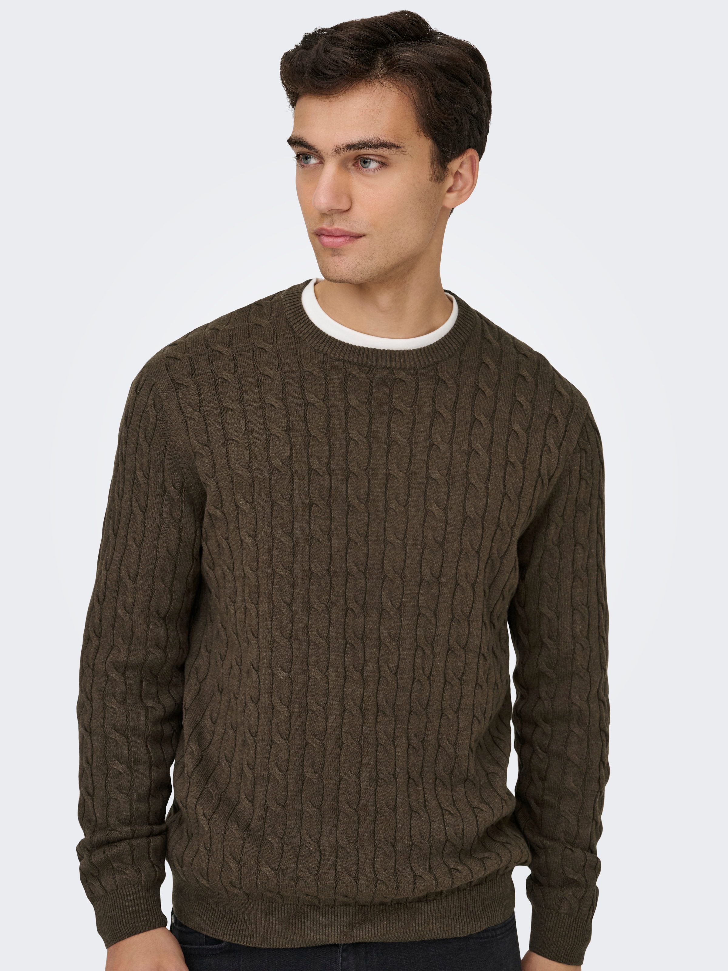 ONLY & SONS Strickpullover »ONSLOUI REG 12 CABEL CREW KNIT NOOS«