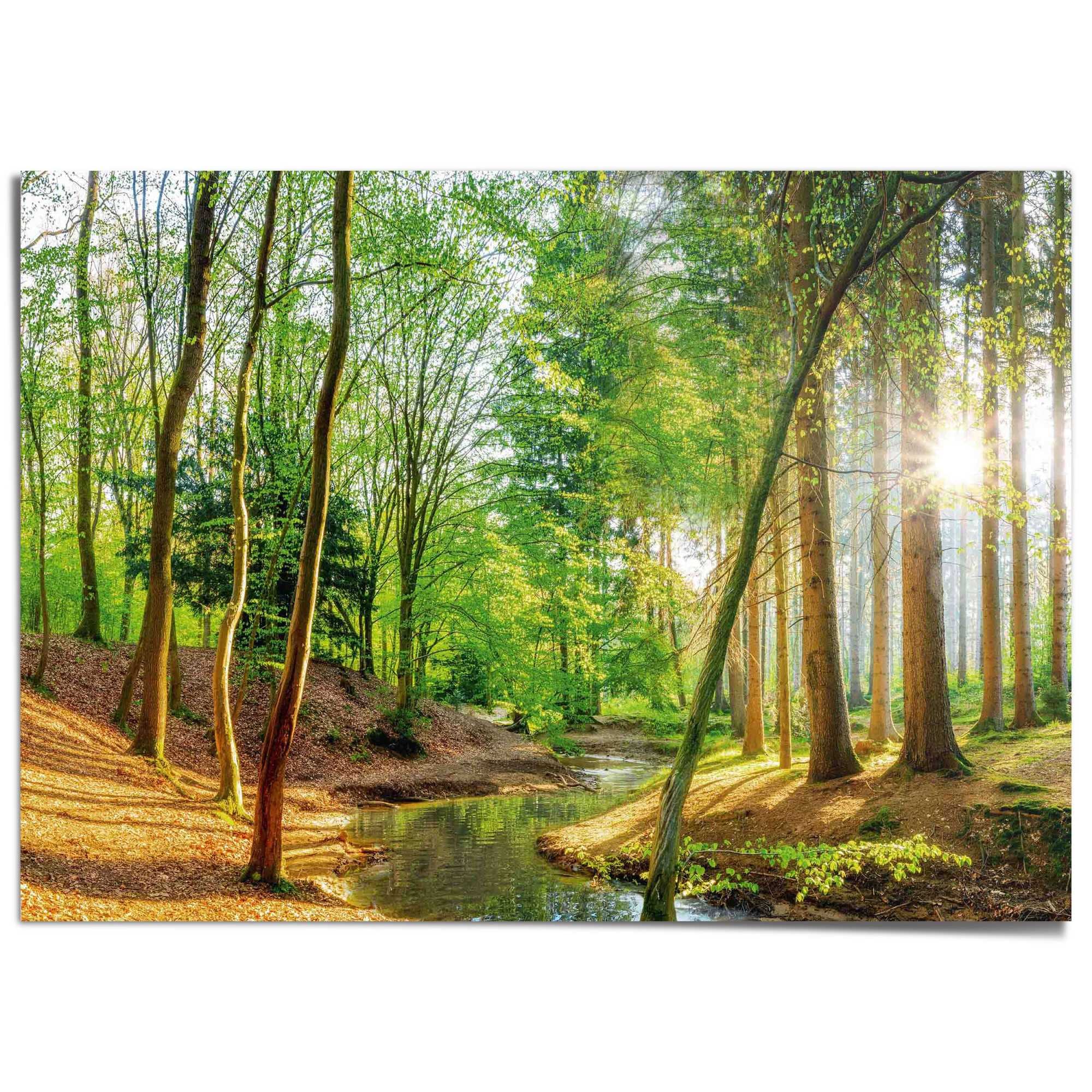 Reinders! Poster »Wald in der Sonne« Bäume 1 Stk. tlg. Wohnzimmer - Grün - Papier - Wald - 140x100 cm