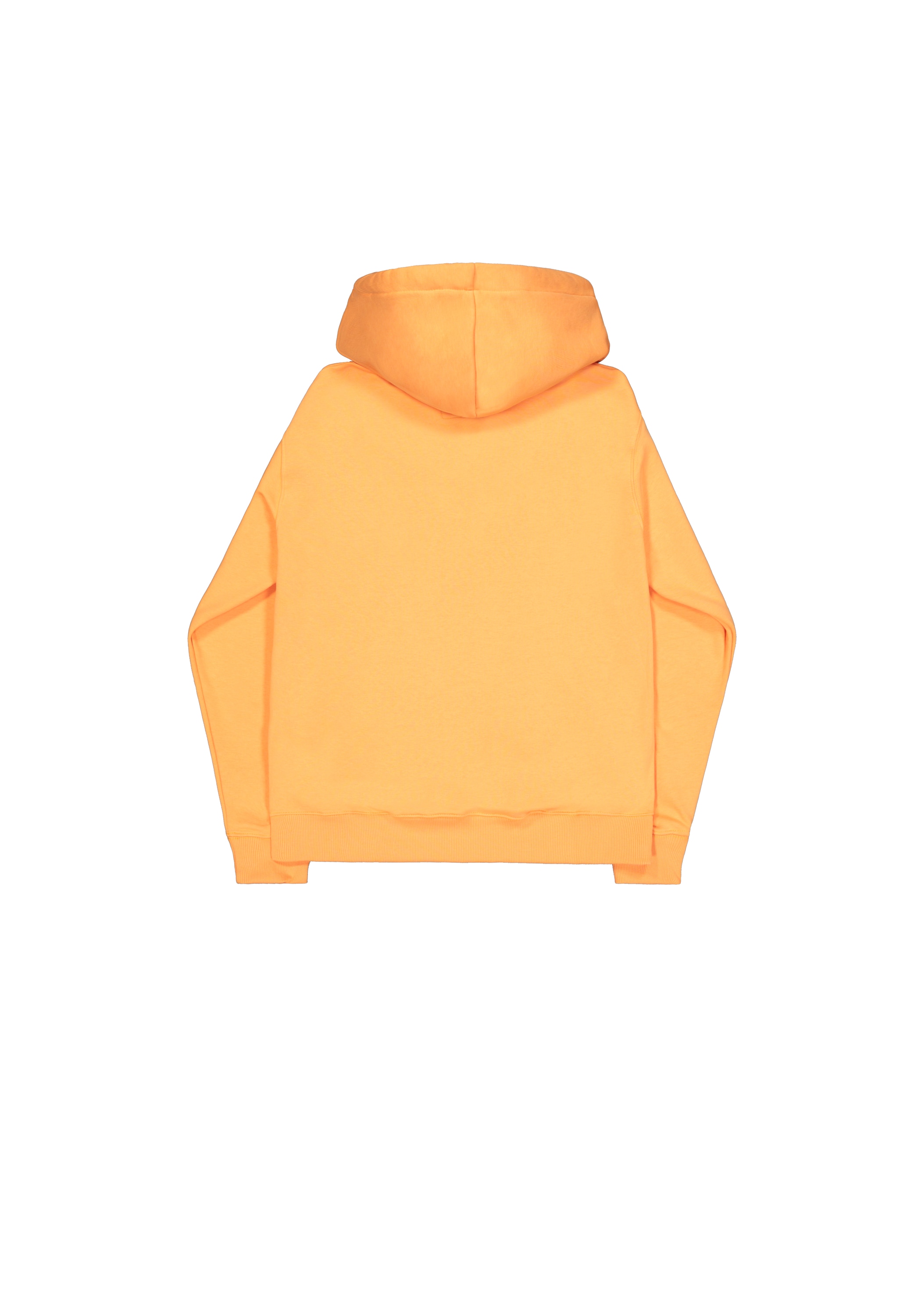 Alpha Industries Hoodie »Basic Zip Hoodie BL PP«
