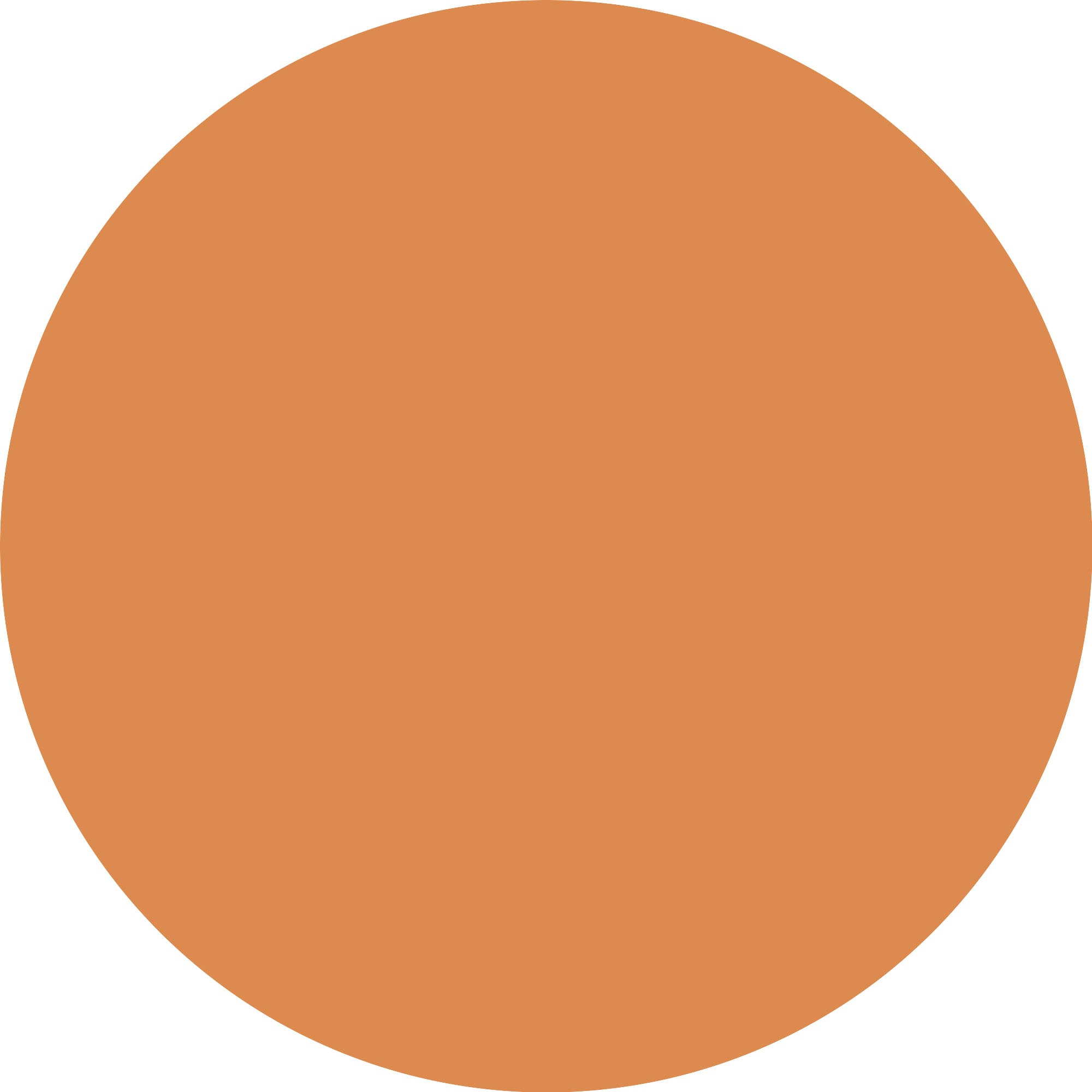 Essence Foundation »SKIN tint«, (3er Pack), mit veganen Inhaltsstoffen