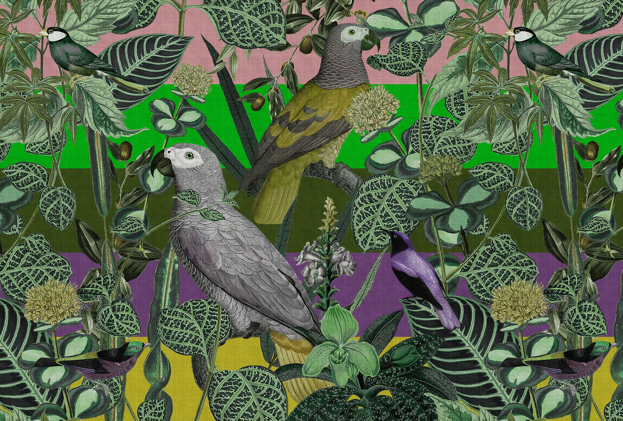 living walls Vliestapete »Papageien-Tapete Bunt – Exotische Mustertapete« matt glatt