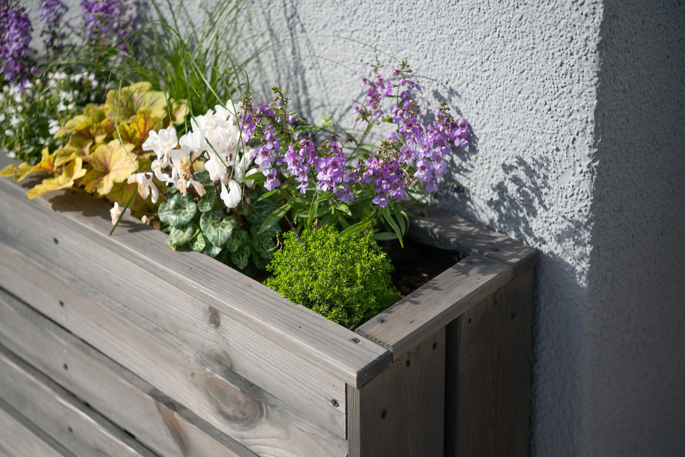 WESTMANN Pflanzkübel »Solo«, 100 % FSC®-zertifiziertes Kiefernholz