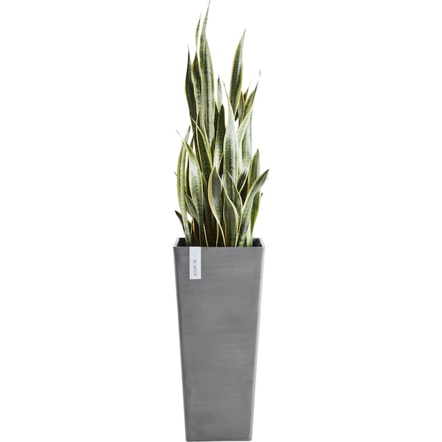 ECOPOTS Blumentopf »ROTTERDAM HIGH Grey«, BxTxH: 32x32x70 cm bestellen |  BAUR