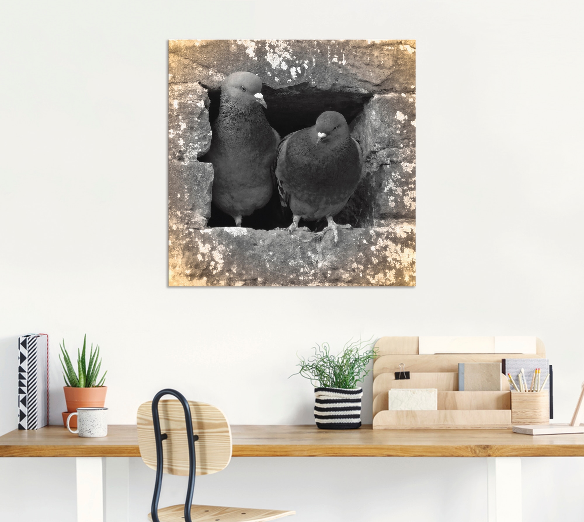 Artland Wandbild »Tauben Liebe«, Vögel, (1 St.), als Alubild, Outdoorbild, Leinwandbild, Poster in verschied. Größen