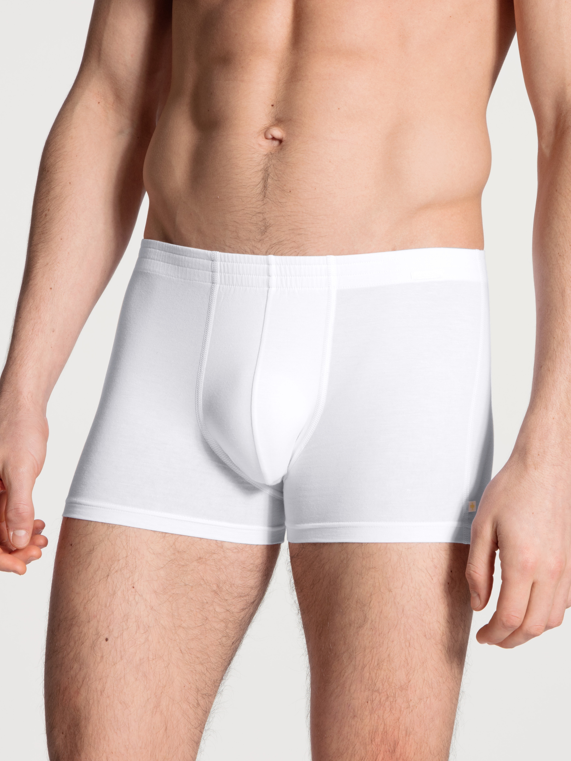 CALIDA Boxer "Focus", mit bezogenem Bund, Single Jersey, weiche Haptik, ela günstig online kaufen