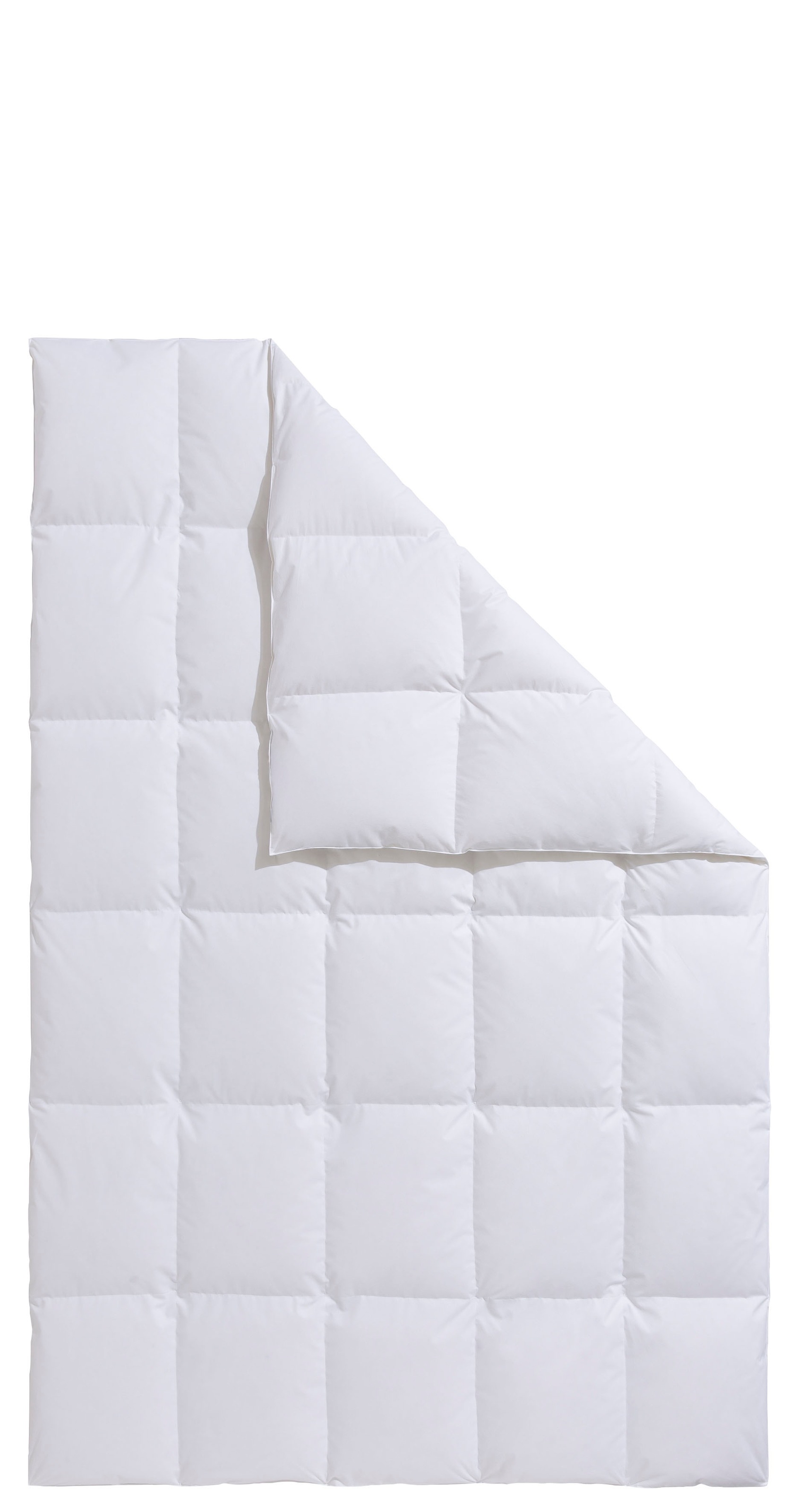 OTTO home Daunenbettdecke "Köniz, Bettdecke 135x200 cm, 155x220 cm und weit günstig online kaufen