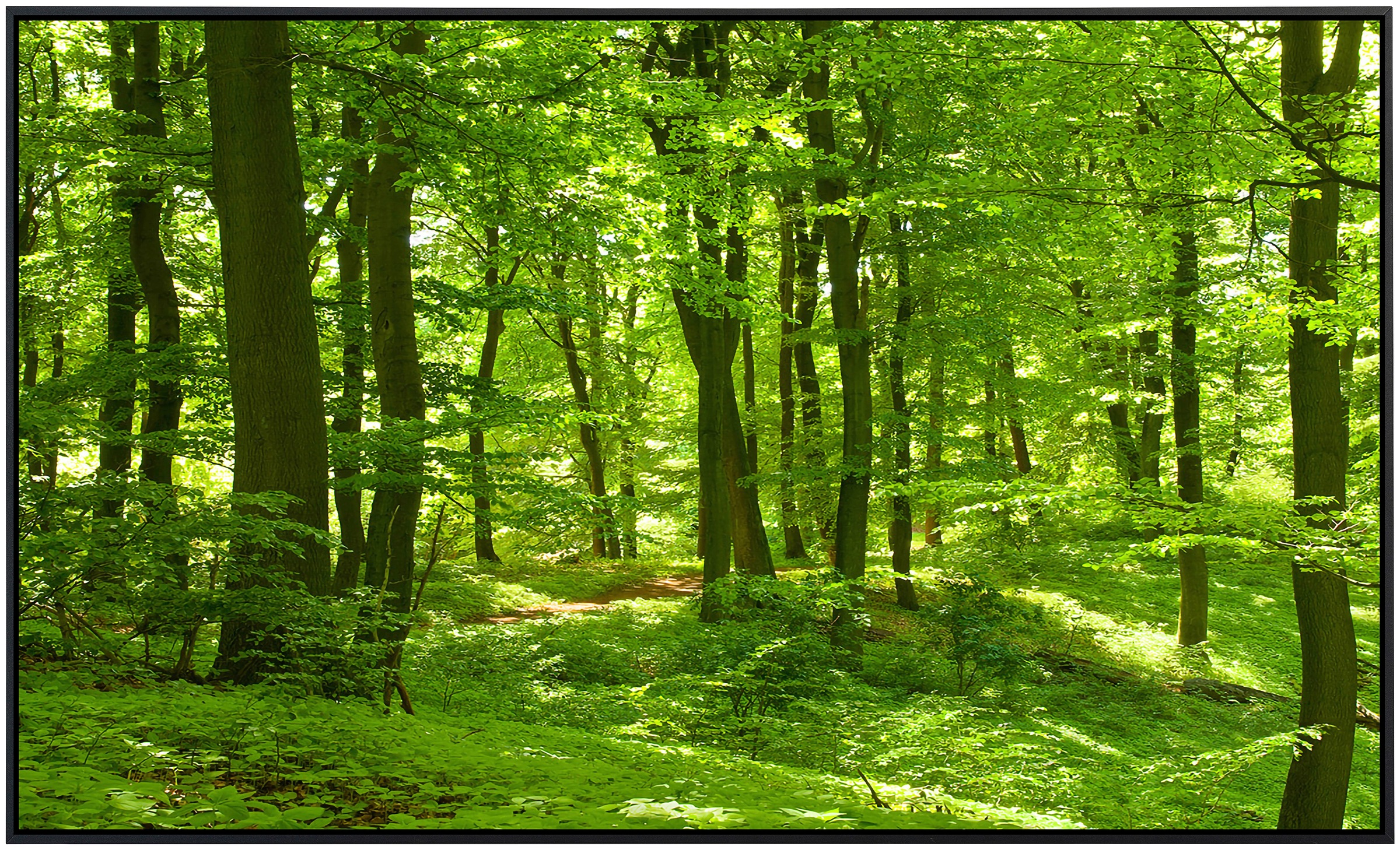 Papermoon Infrarotheizung »Wald im Frühling«, sehr angenehme Strahlungswärme