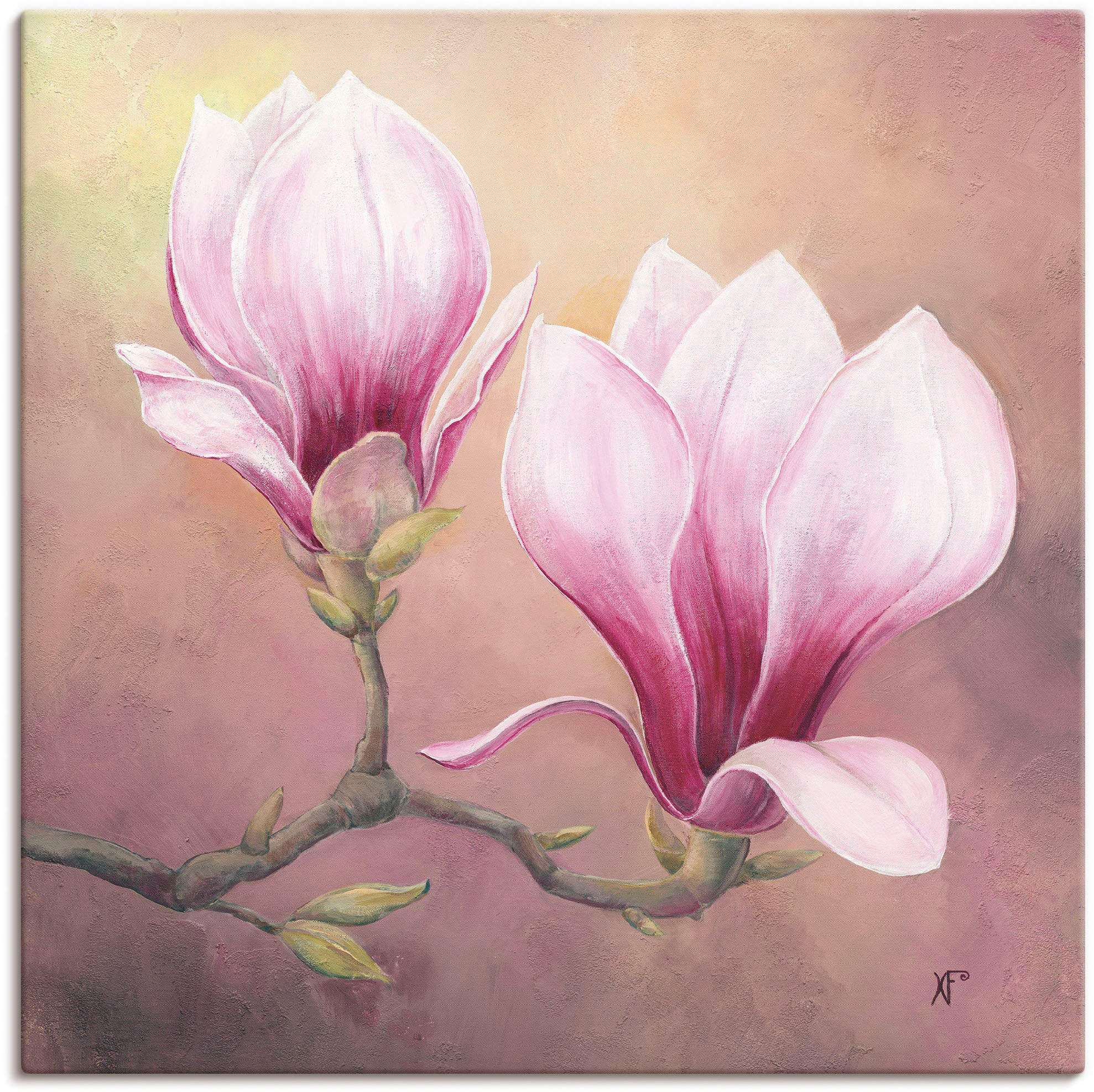 Artland Leinwandbild "Späte Magnolie" Blumenbilder 1 Stk. tlg. auf Holzrahmen gespannt