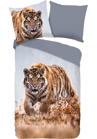 good morning Kinderbettwäsche »Tiger«, (2 tlg.), 100% Baumwolle kaufen