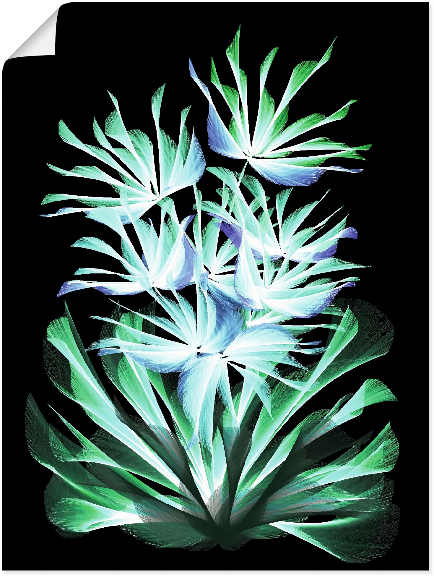 Artland Wandbild »Leuchtende Nachtblumen«, klassische Fantasie, (1 St.),  als Alubild, Leinwandbild, Wandaufkleber oder Poster in versch. Größen  bestellen | BAUR