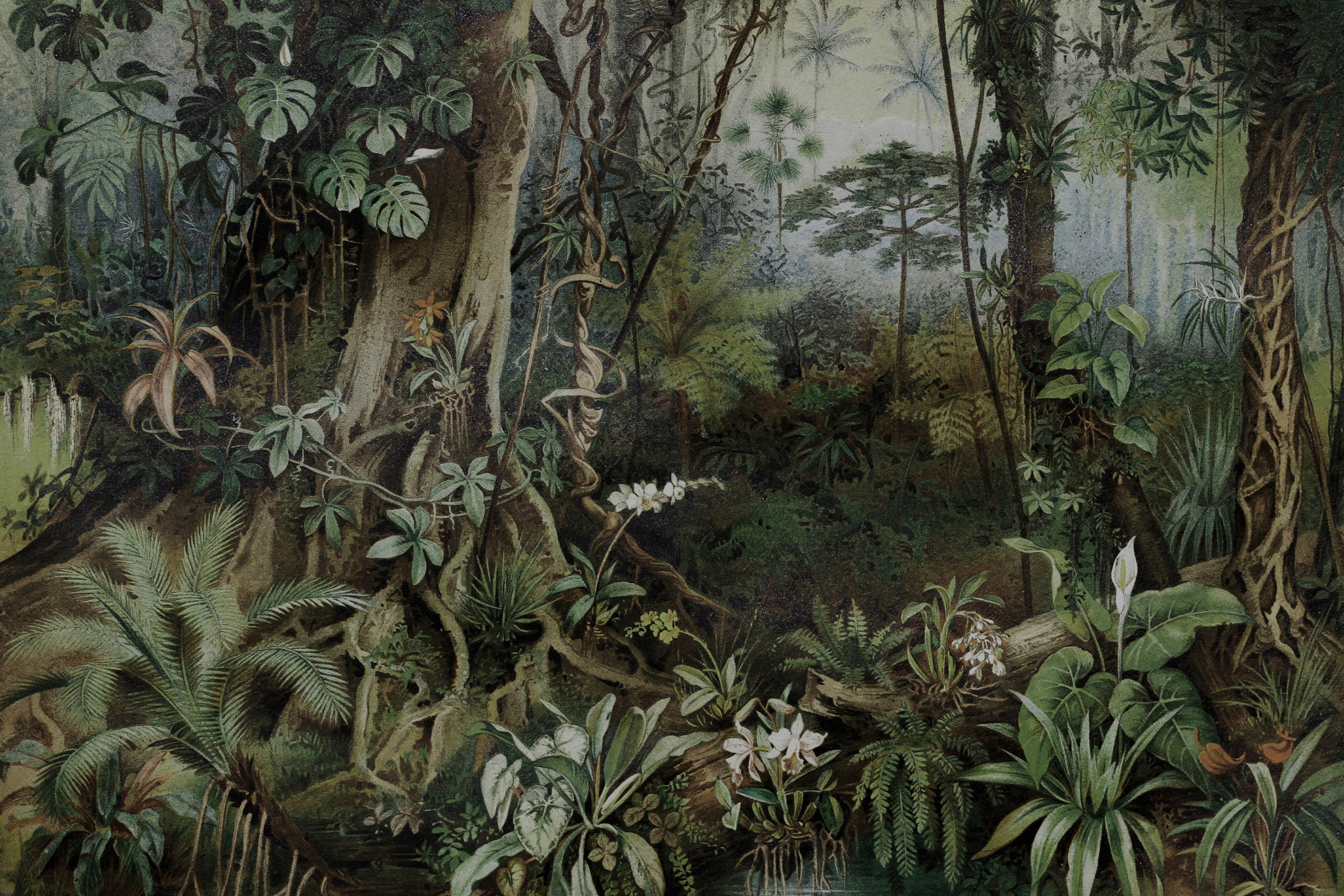 A.S. Création Leinwandbild »jungle«, (1 St.), Keilrahmen Bild Dschungel Wald