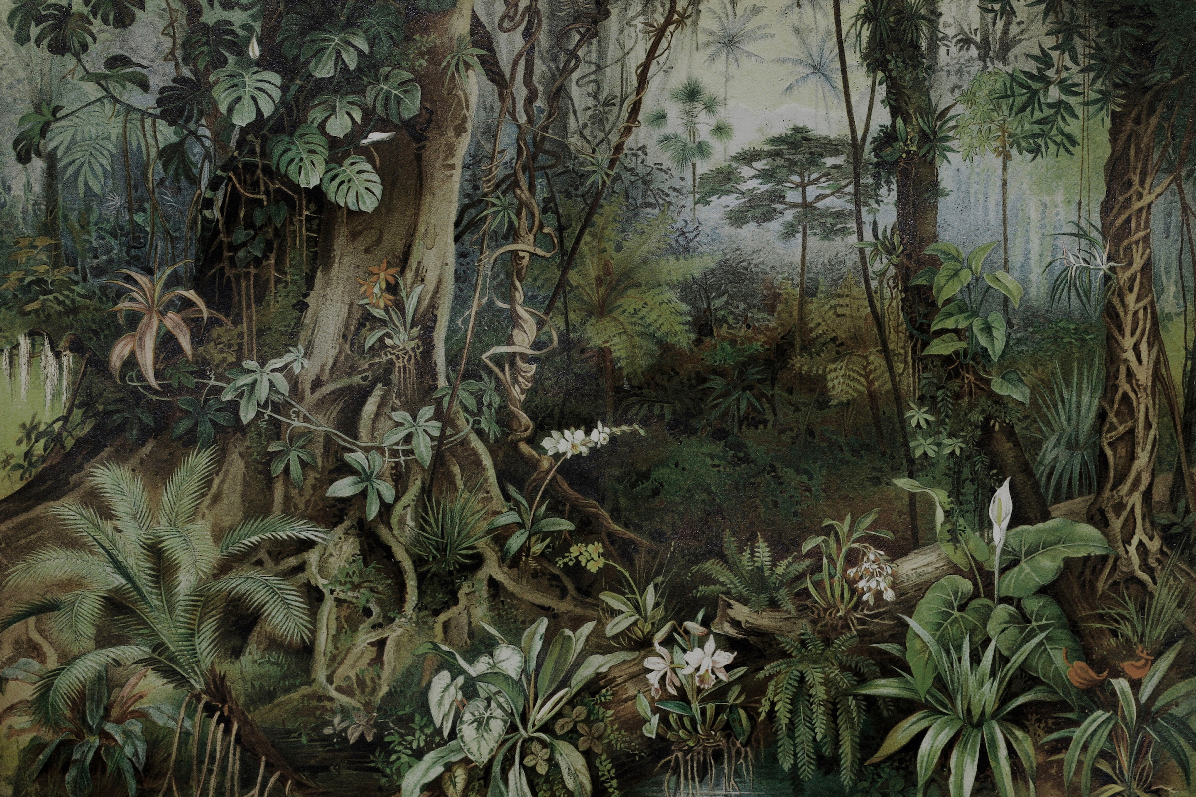 A.S. Création Leinwandbild »jungle«, Kunst-Gemälde-Kinder, (1 St.), Keilrahmen Bild Dschungel Wald Leinwand-Bild Wohnzimmer modern Kinder