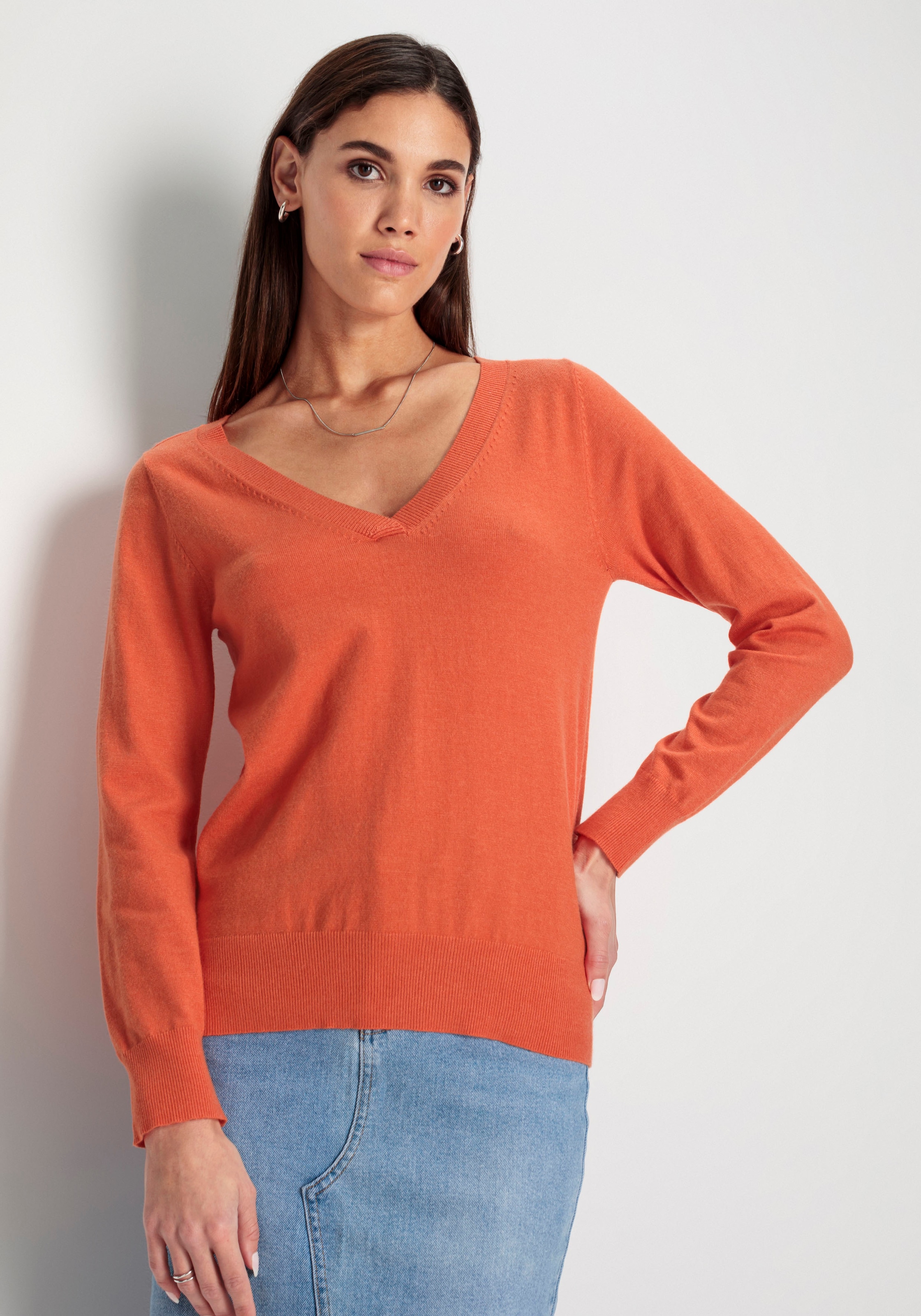 HECHTER PARIS V-Ausschnitt-Pullover, in melange Optik günstig online kaufen