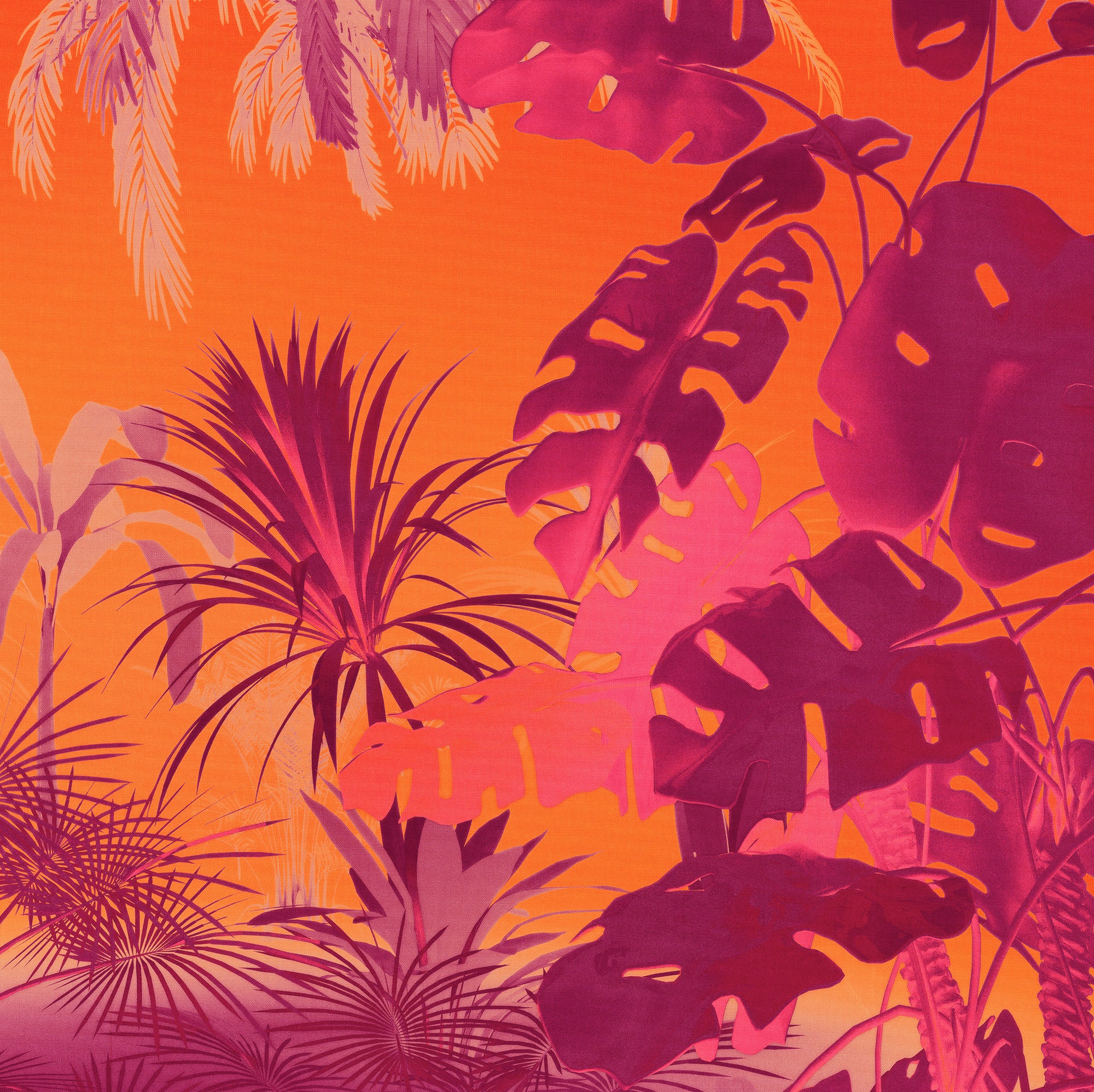Komar Fototapete »Komar Vlies Fototapete - Funky Jungle - Größe 250 x 250 cm«, bedruckt