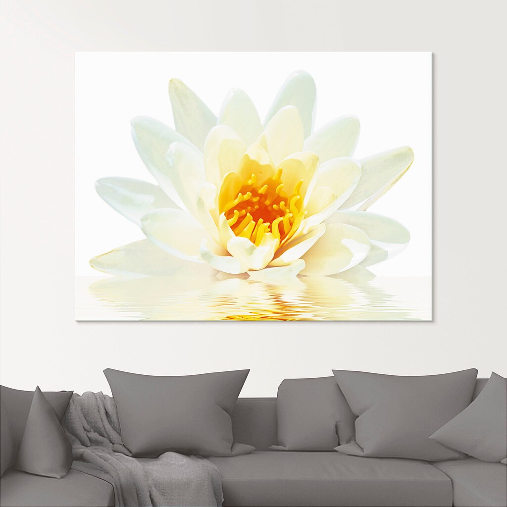 Artland Glasbild »Lotusblume schwimmt im Wasser«, Blumen, (1 St.)
