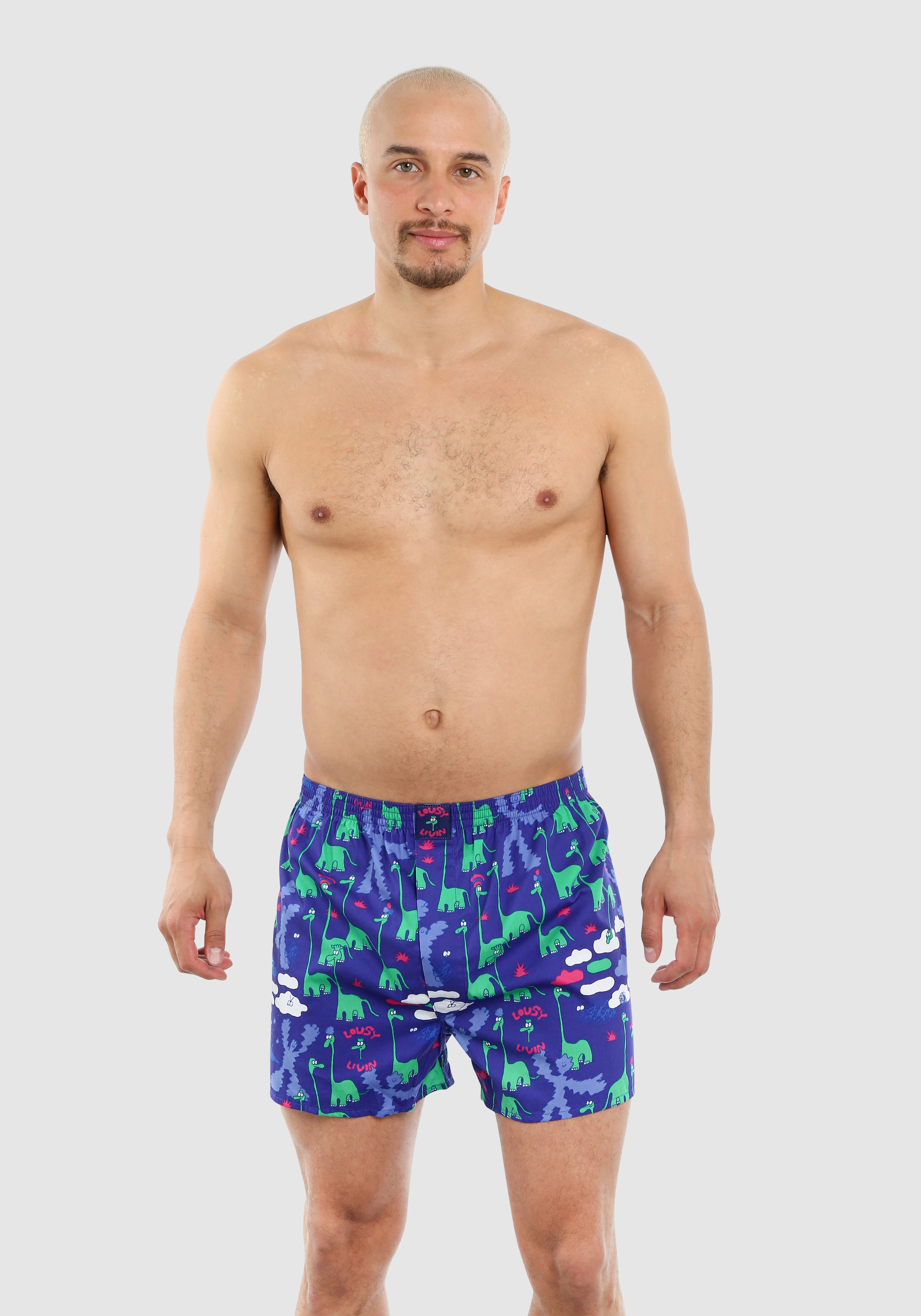 Lousy Livin Boxershorts "Dinos 2Pack" 2 Stk. tlg., im praktischen 2er-Pack günstig online kaufen
