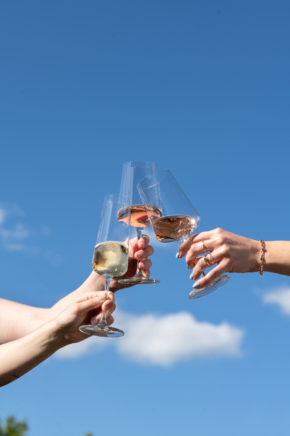 SCHOTT-ZWIESEL Sektglas »Sektgläser MioVino 260 ml 4er Set transparent« Spülmaschinengeeignet