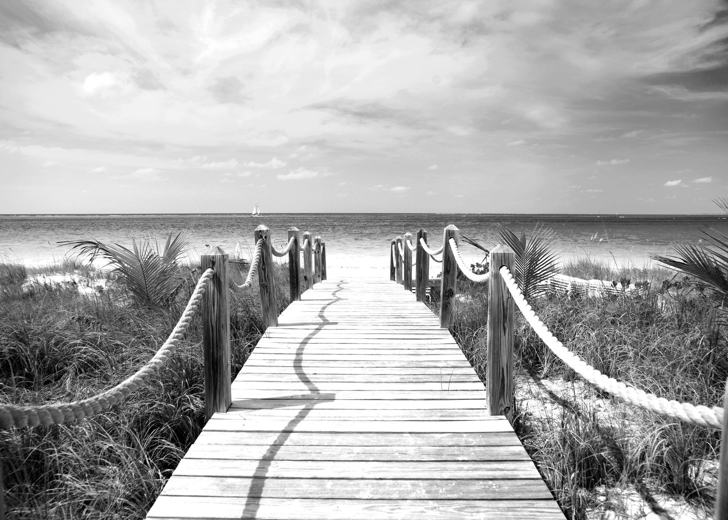 Papermoon Fototapete "Strand Schwarz & Weiß" günstig online kaufen
