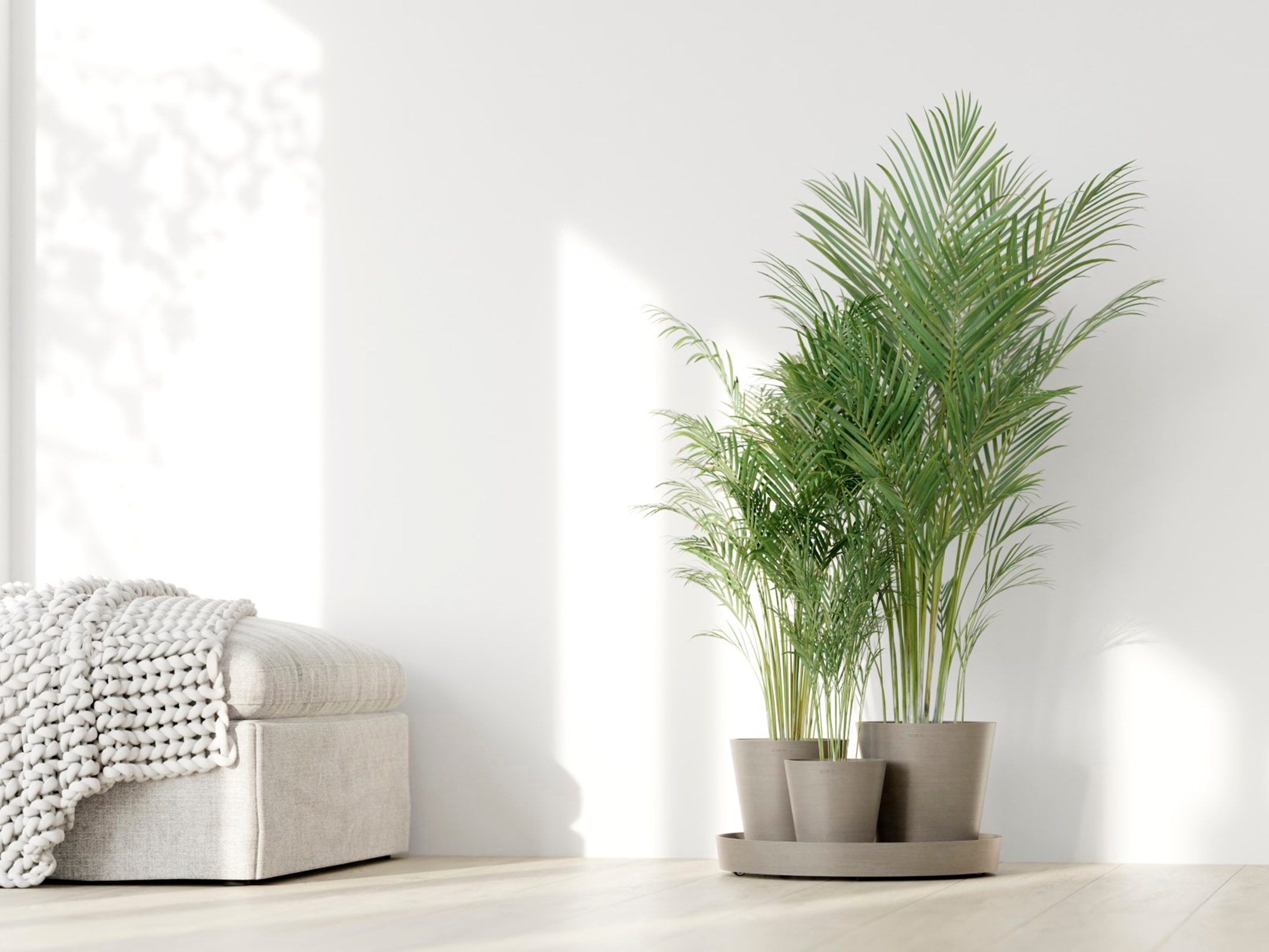 ECOPOTS Blumentopf »Dubai Taupe«, für innen und außen: frostsicher, bruchsicher und lichtbeständig