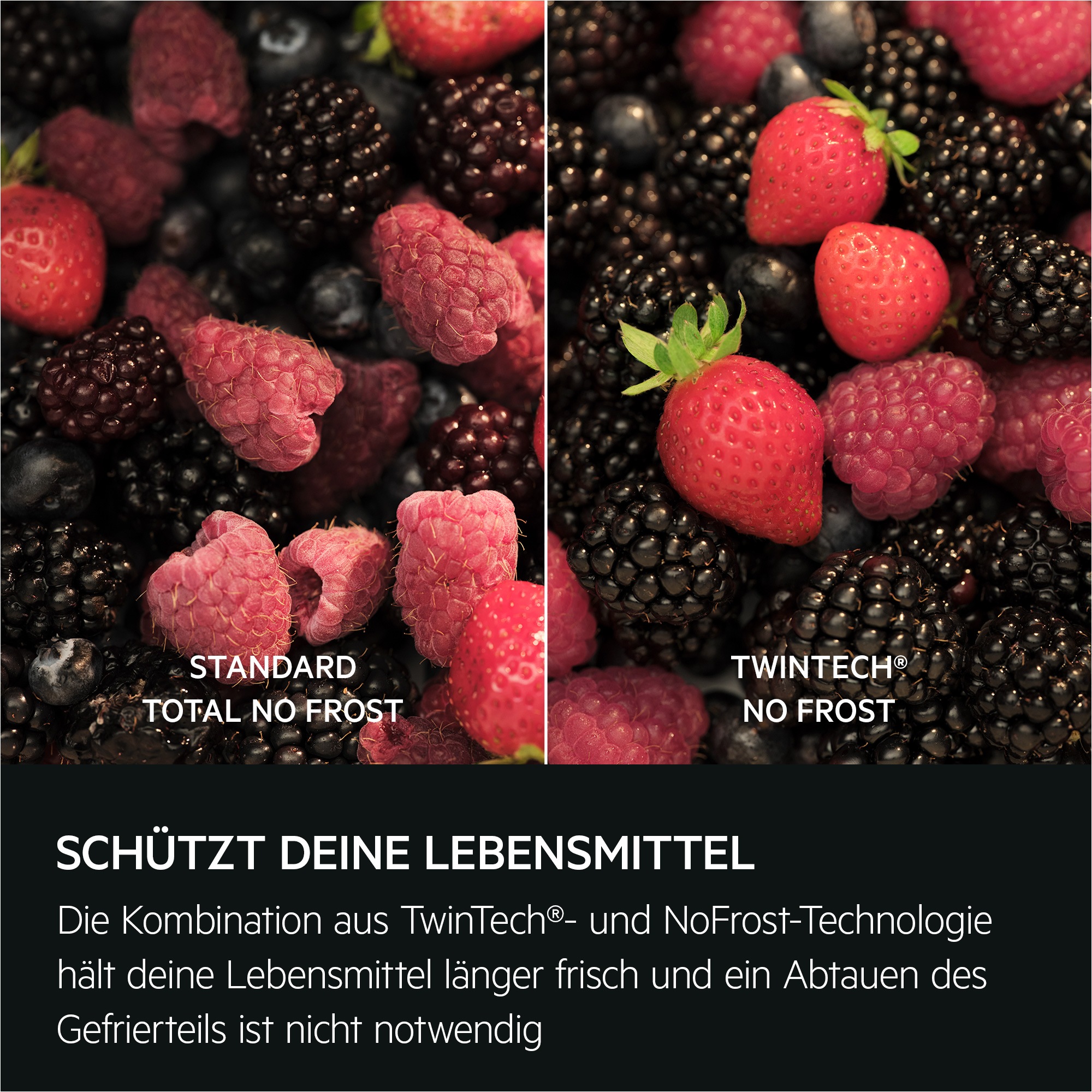 AEG Einbaukühlgefrierkombination Serie 6000 »TSC6N183ES«, 98 L, LowFrost-weniger Eisbildung, Schnellgefrierfunktion, Schlepptür