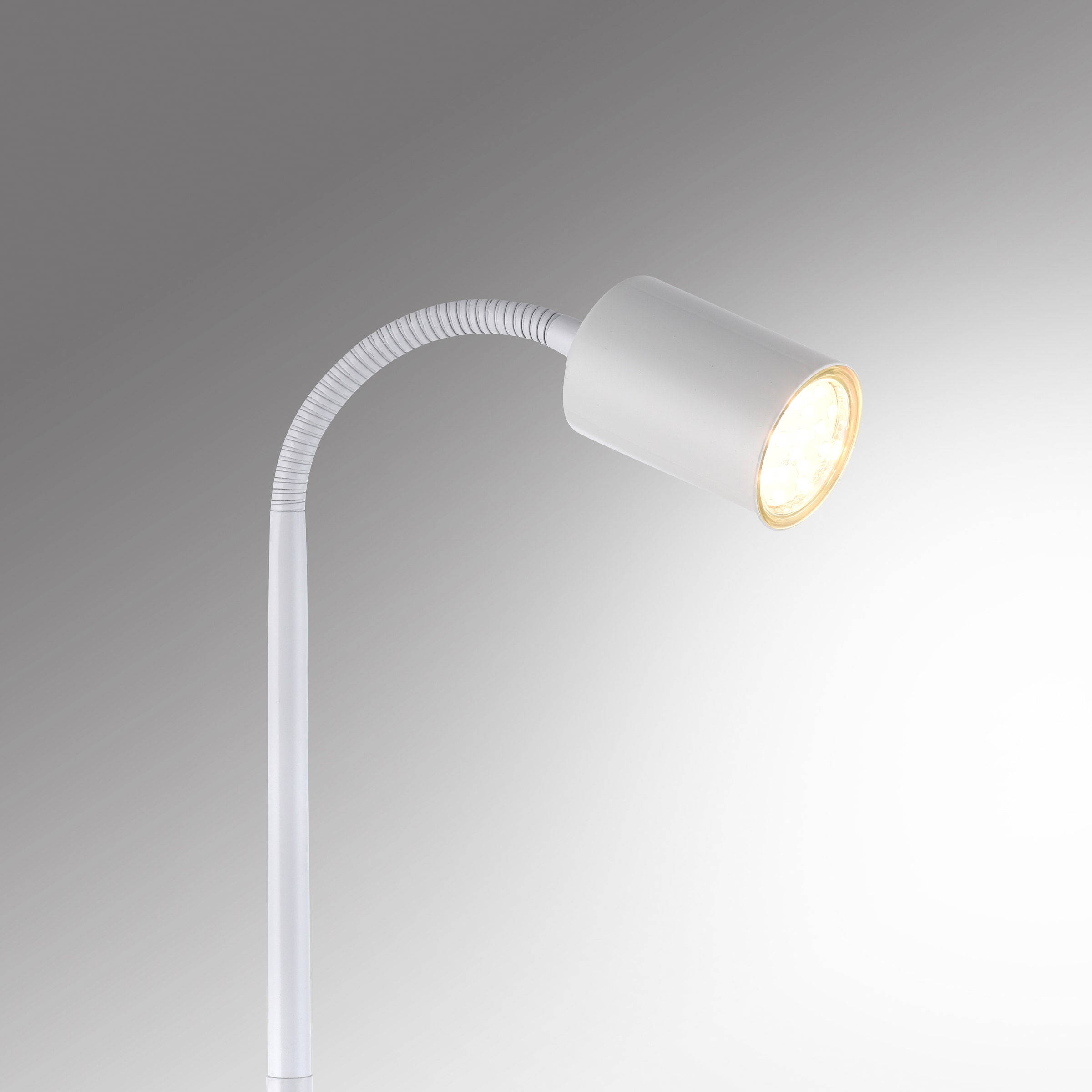 my home LED Stehlampe »Maci«, 1 flammig, Leuchtmittel GU10 | Leuchtmittel wechselbar, Stehlampe, warmweißes Licht, dreh- und schwenkbarer Reflektor