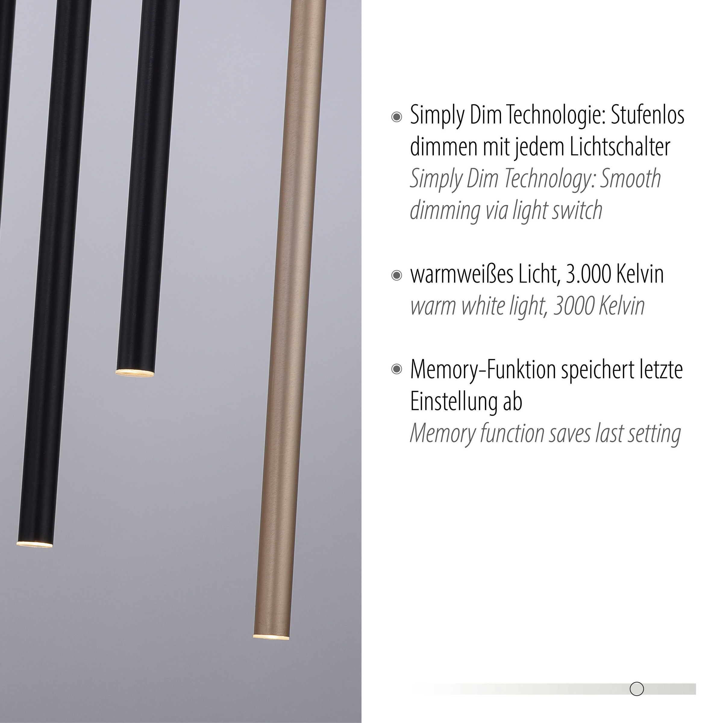 Paul Neuhaus Pendelleuchte »FLUTE«, 10 flammig, Leuchtmittel LED-Board | LED fest integriert