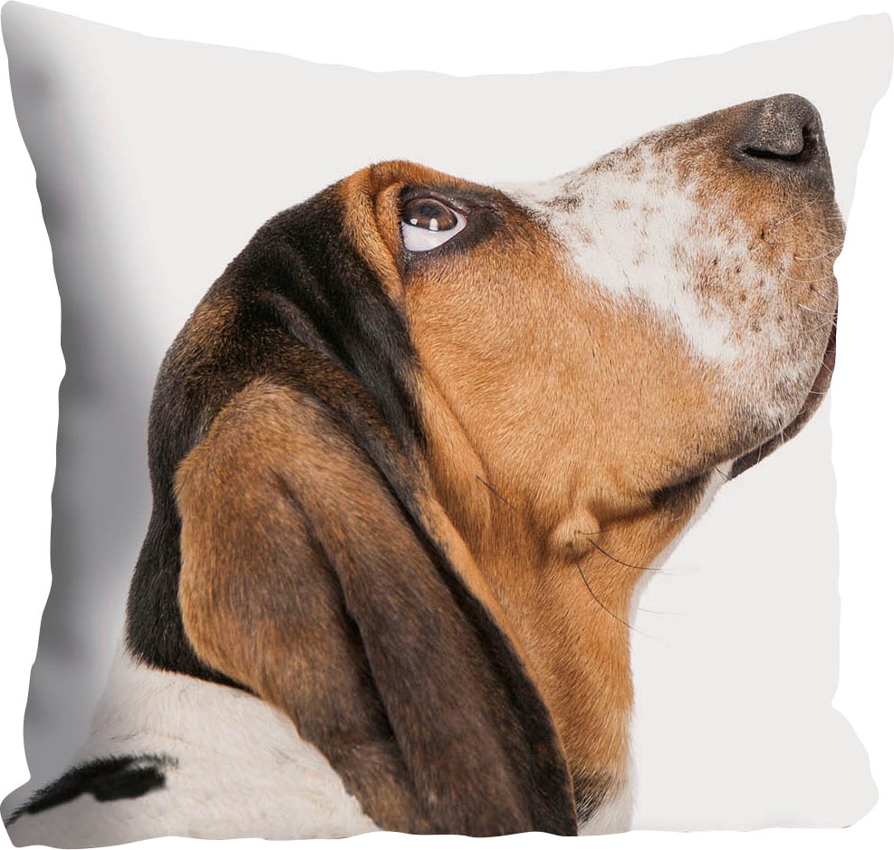 queence Dekokissen »Jens«, Hund mit Dackelblick, Kissenhülle ohne Füllung, 1 Stück