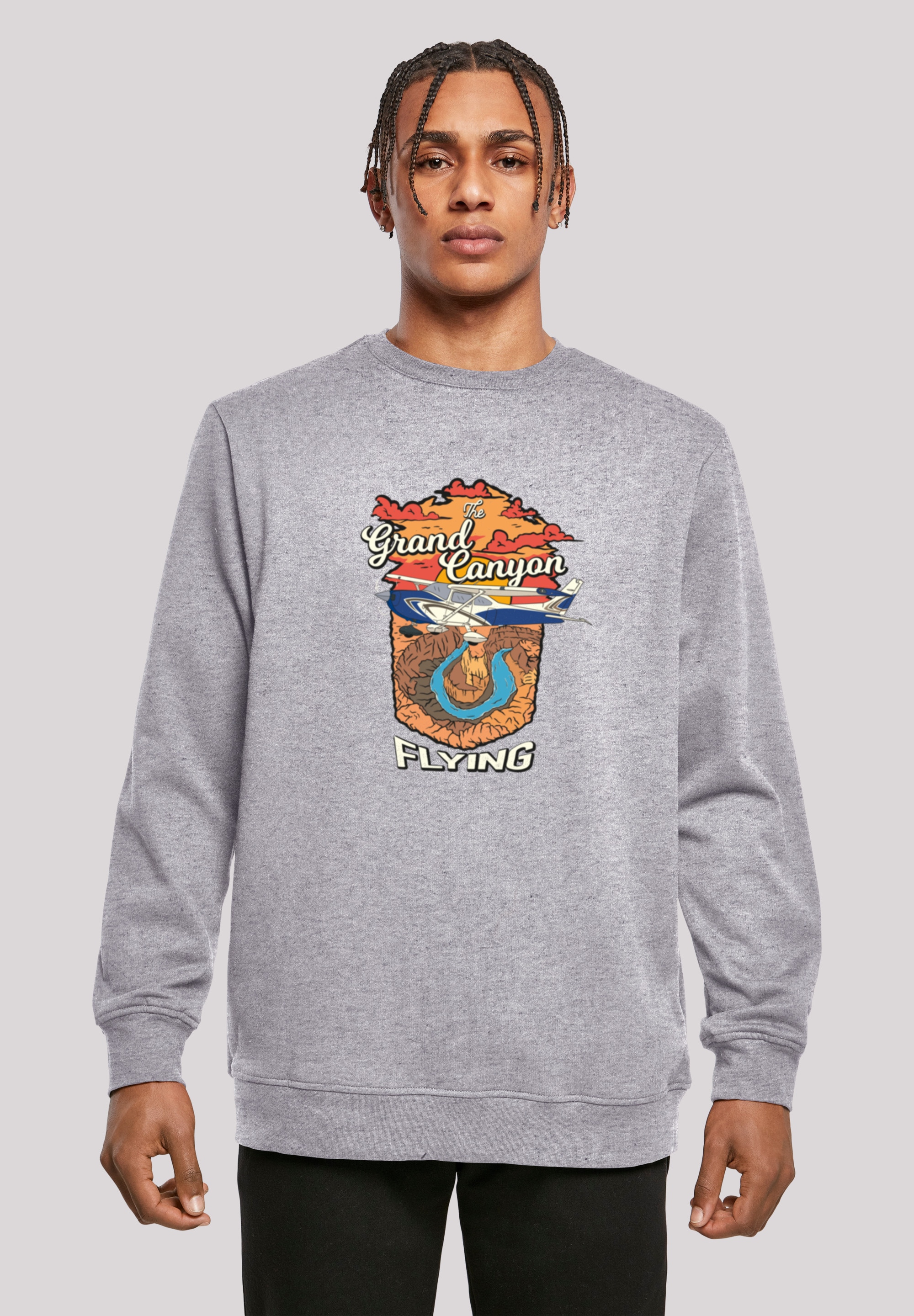 F4NT4STIC Kapuzenpullover "Grand Canyon Flying", Print günstig online kaufen