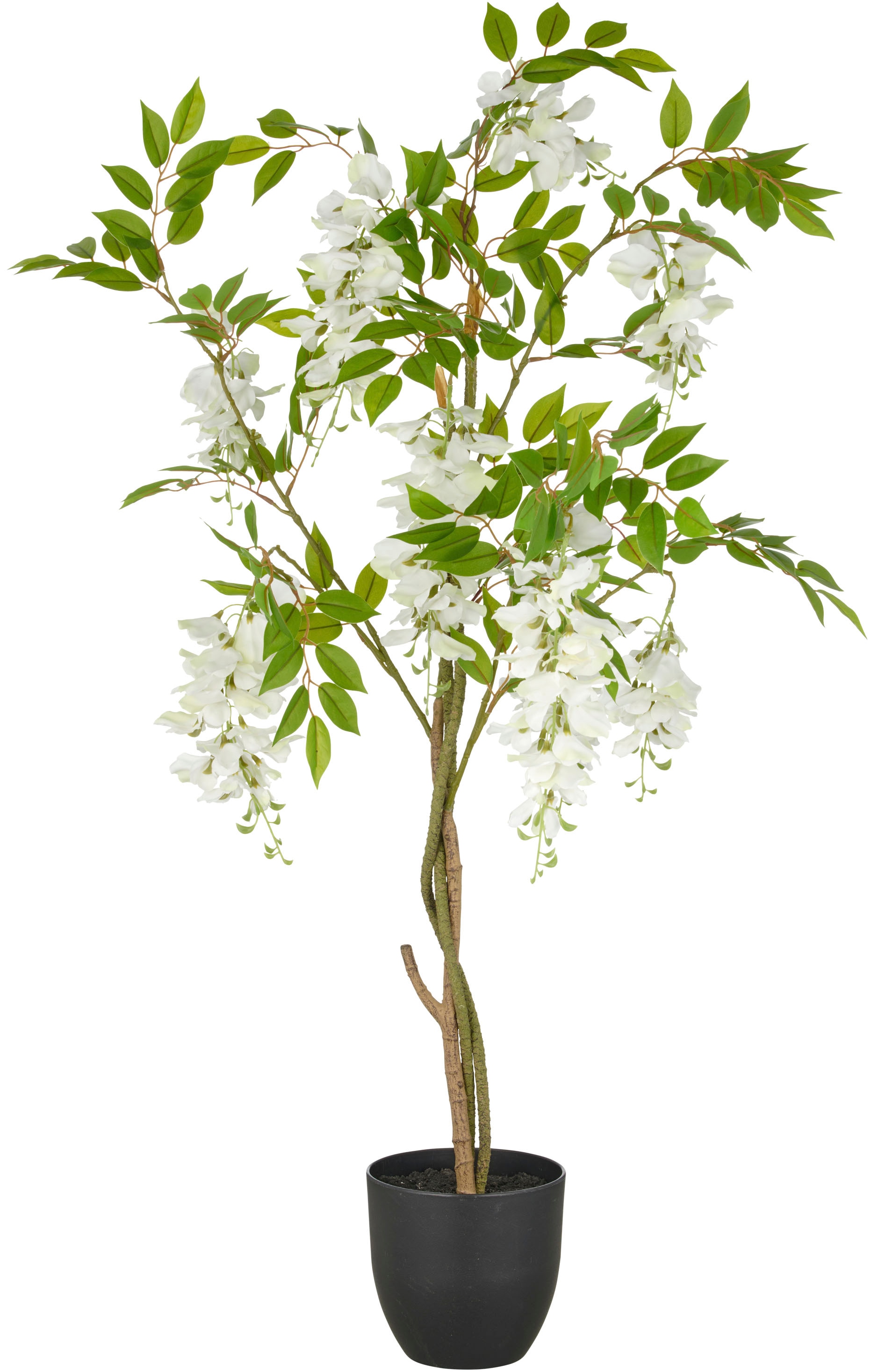 Creativ green Kunstpflanze "Wisteria", mit zahlreichen Blüten günstig online kaufen