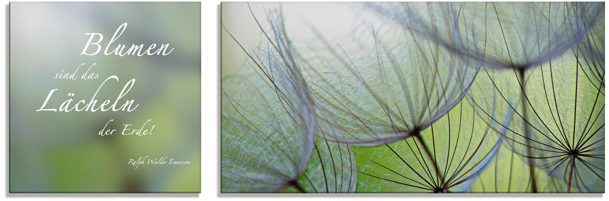 Artland Glasbild »Zitatenbild, Pusteblumen-Samen«, Sprüche & Texte, (2 St.), in verschiedenen Größen