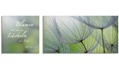 Artland Glasbild »Zitatenbild, Pusteblumen-Samen«, Sprüche & Texte, (2 St.) kaufen
