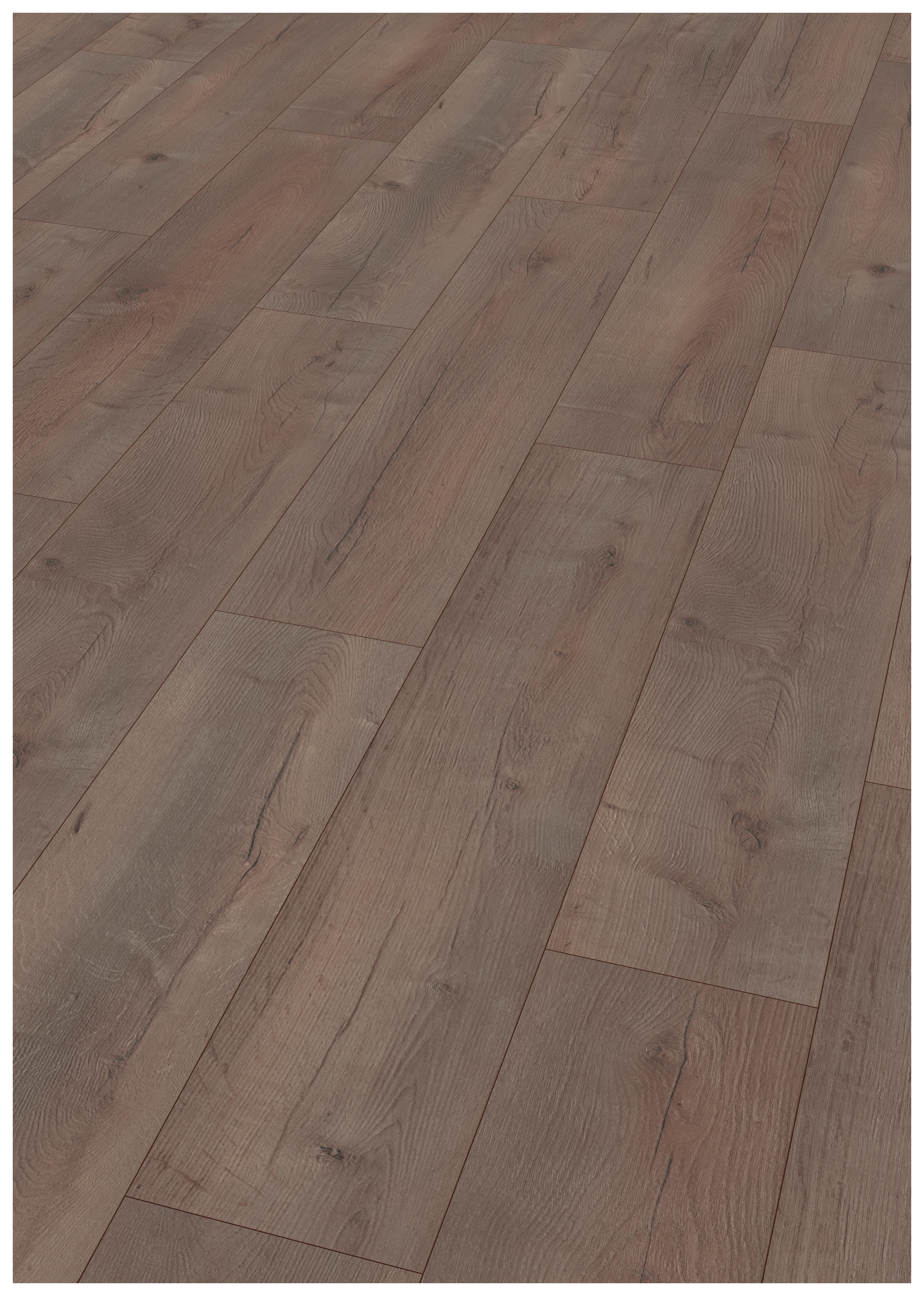 8mm, 2,541 m/² breite Diele EGGER Home Laminat dunkel braun Holzoptik Klick Laminatboden Dunino Eiche graphit EHL048