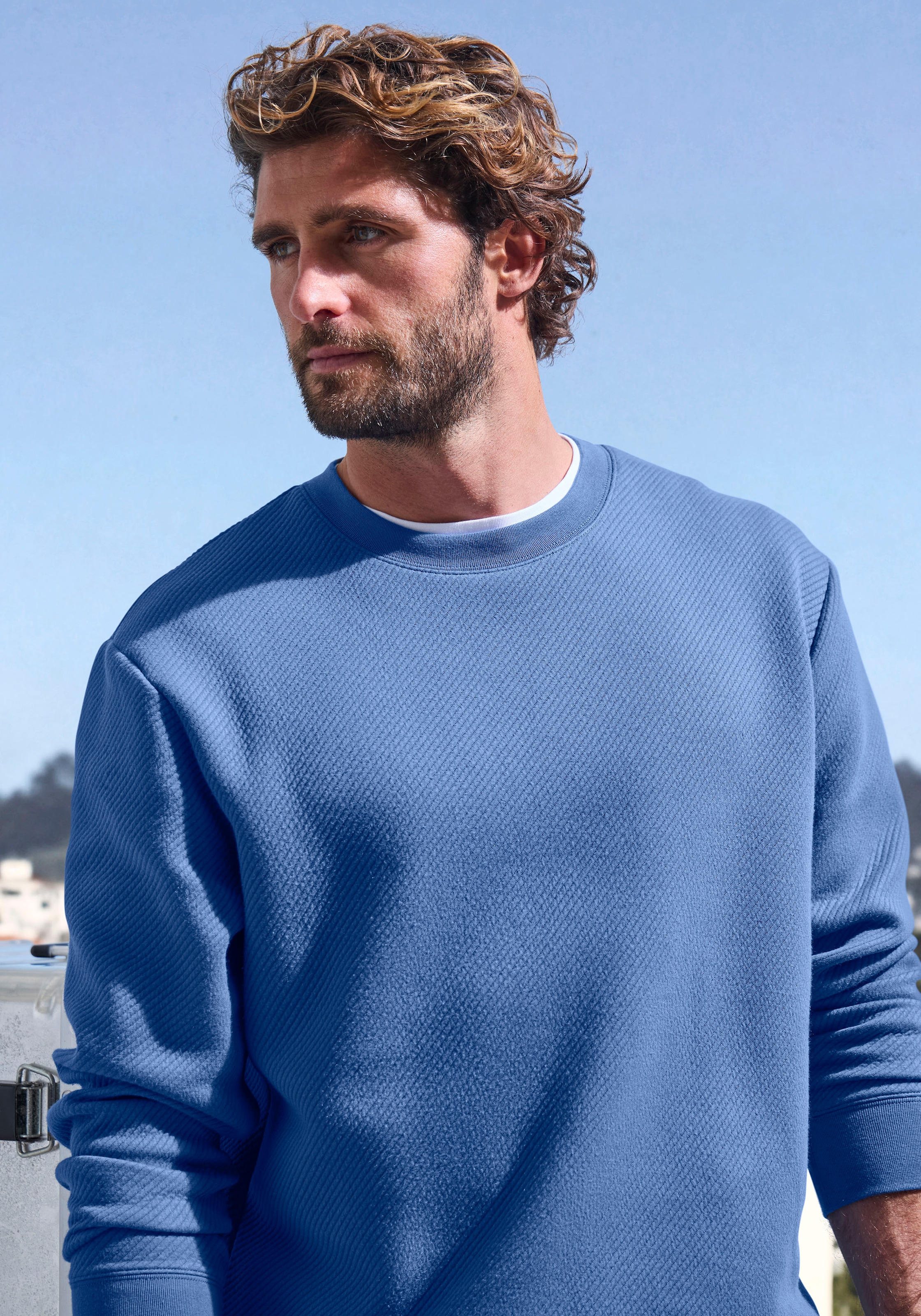 John Devin Sweatshirt, Langarm, Pullover mit Struktur, Rundhals, Baumwollmischung