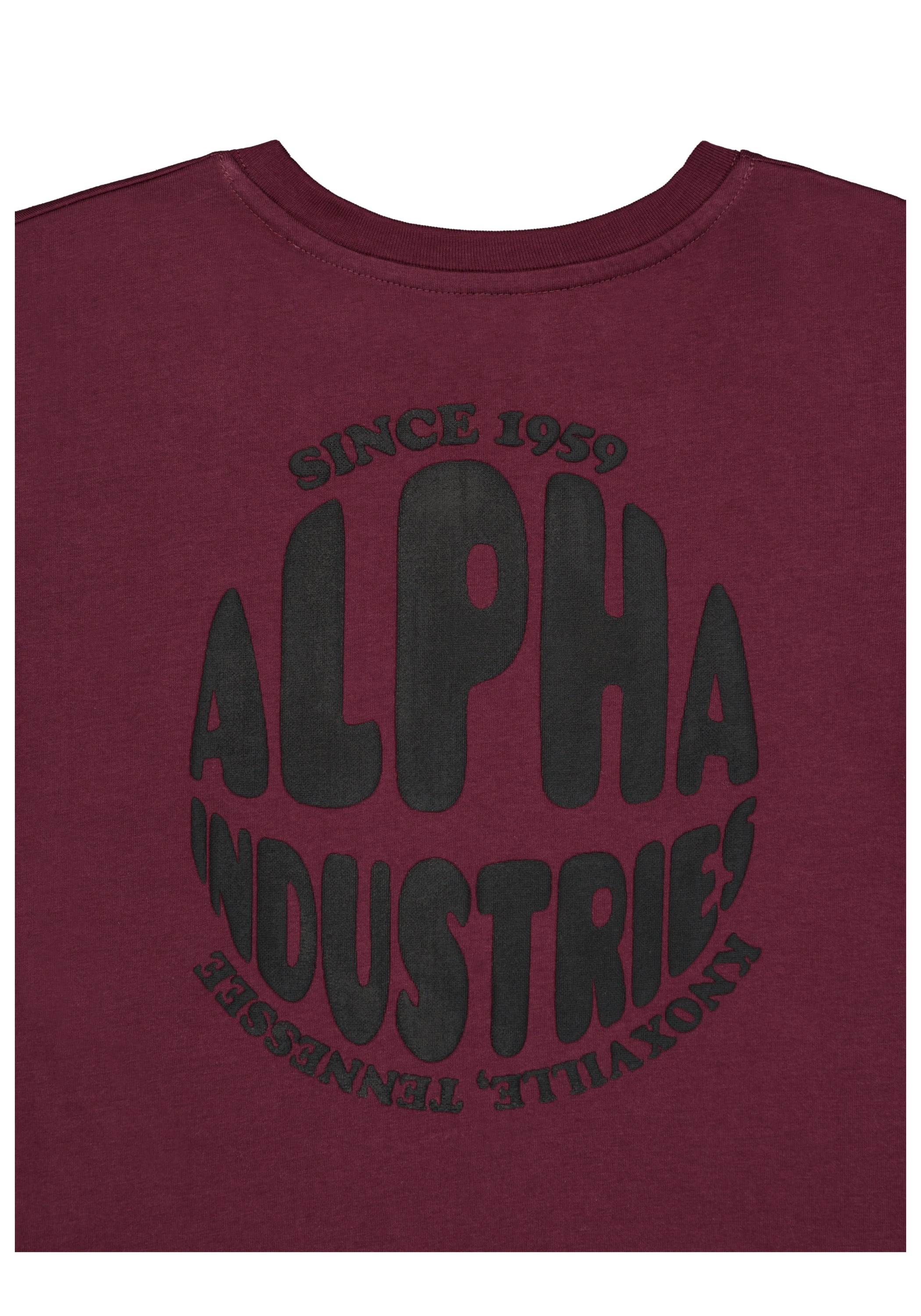 Alpha Industries T-Shirt »Logo Backprint T-Shirt K T-Shirt«