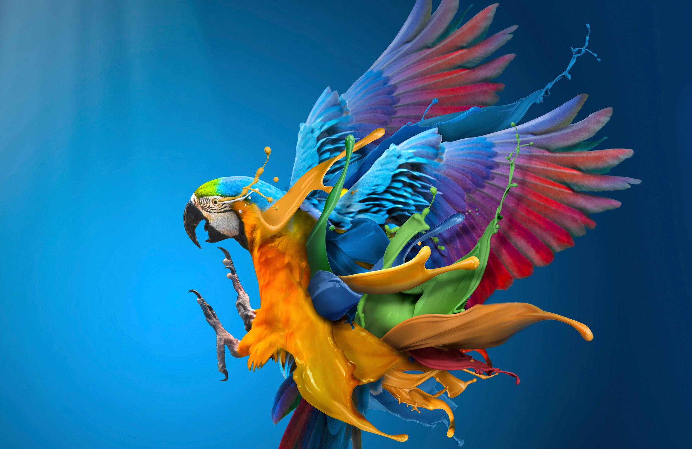 Papermoon Fototapete »Photo-Art  SULAIMAN ALMAWASH, BRAVOUR«