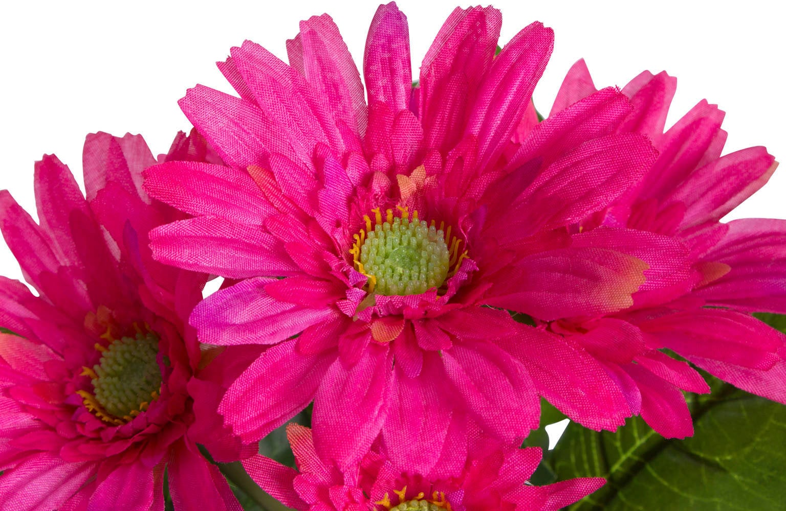 Botanic-Haus Kunstblume »Gerbera mit 5 Blüten«