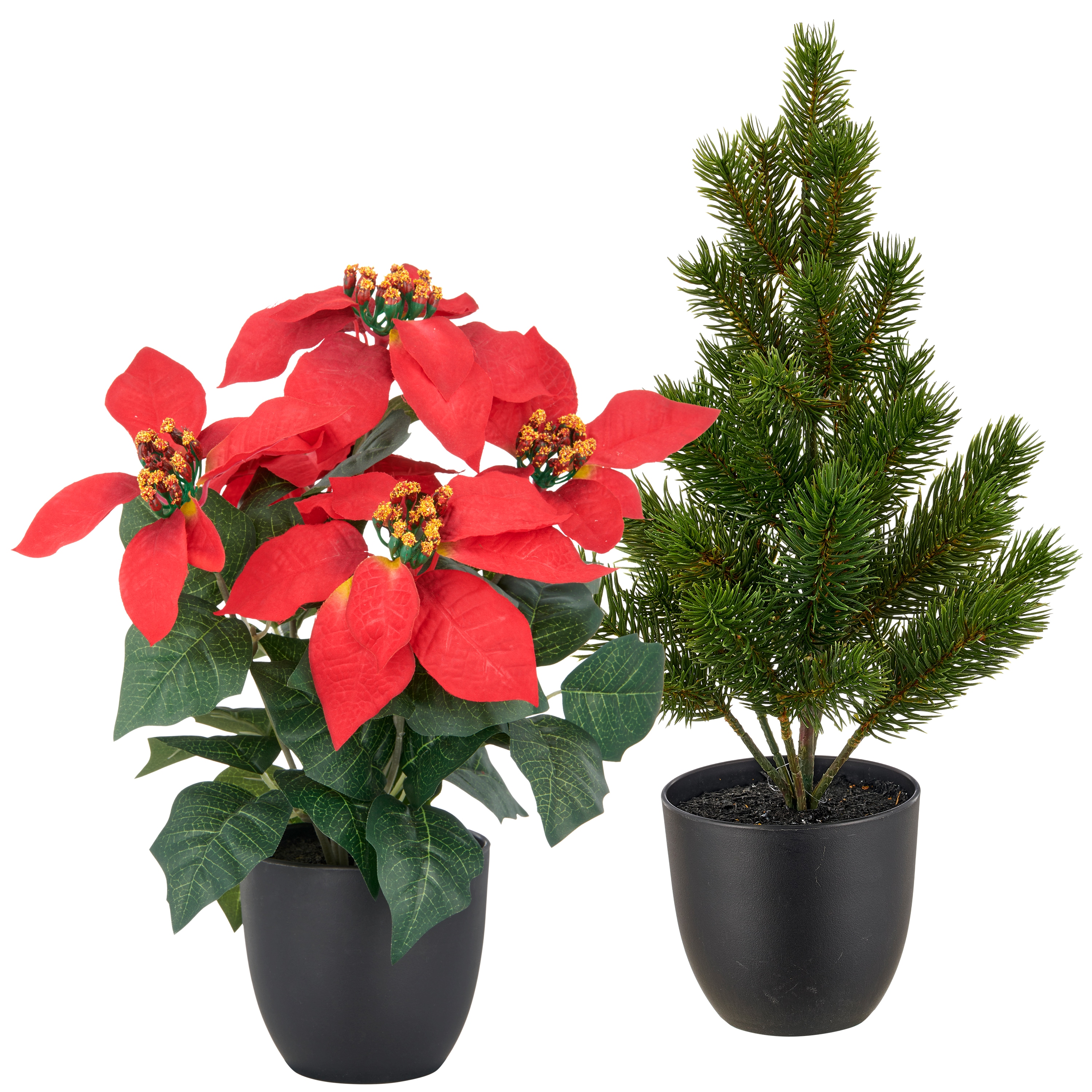 OTTO home Winterliche Kunstpflanze "Set aus Weihnachtsstern und Tannenbäumchen" in naturgetreuer Ausführung