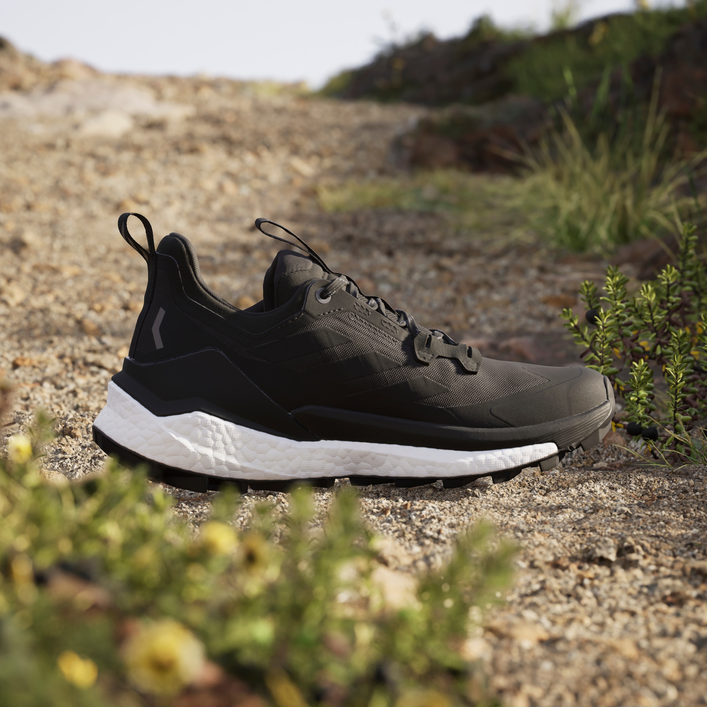 adidas TERREX Wanderschuh »TERREX FREE HIKER 2.0 LOW«