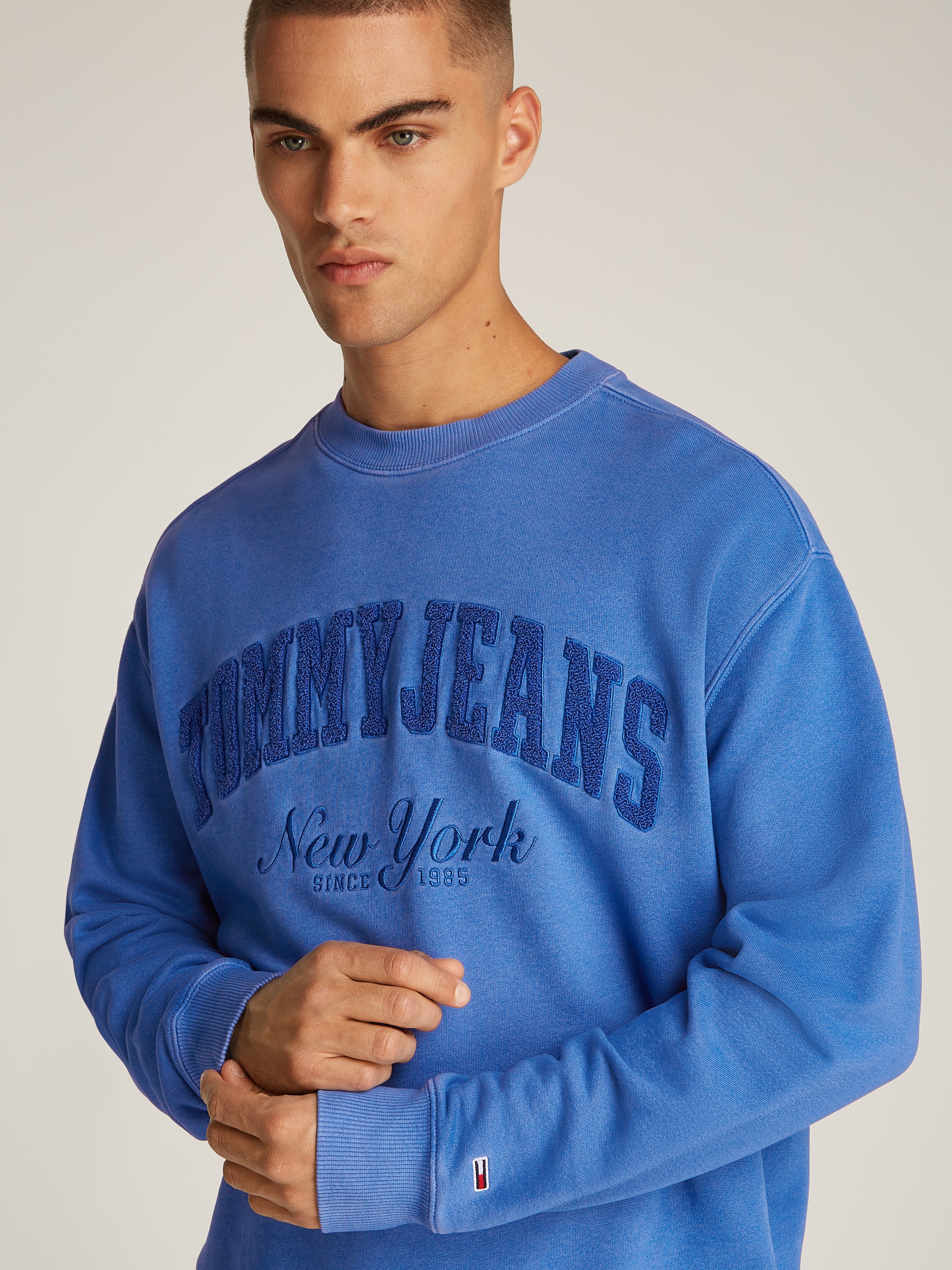 Tommy Jeans Sweatshirt »TJM RLX VINTAGE VARSITY CREW«, mit großem Logo