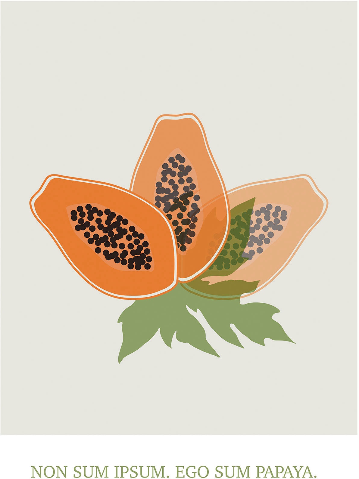 Komar Bild "Cultivated Papaya" Natur 1 Stk. tlg. Wandbild zur Dekoration - günstig online kaufen